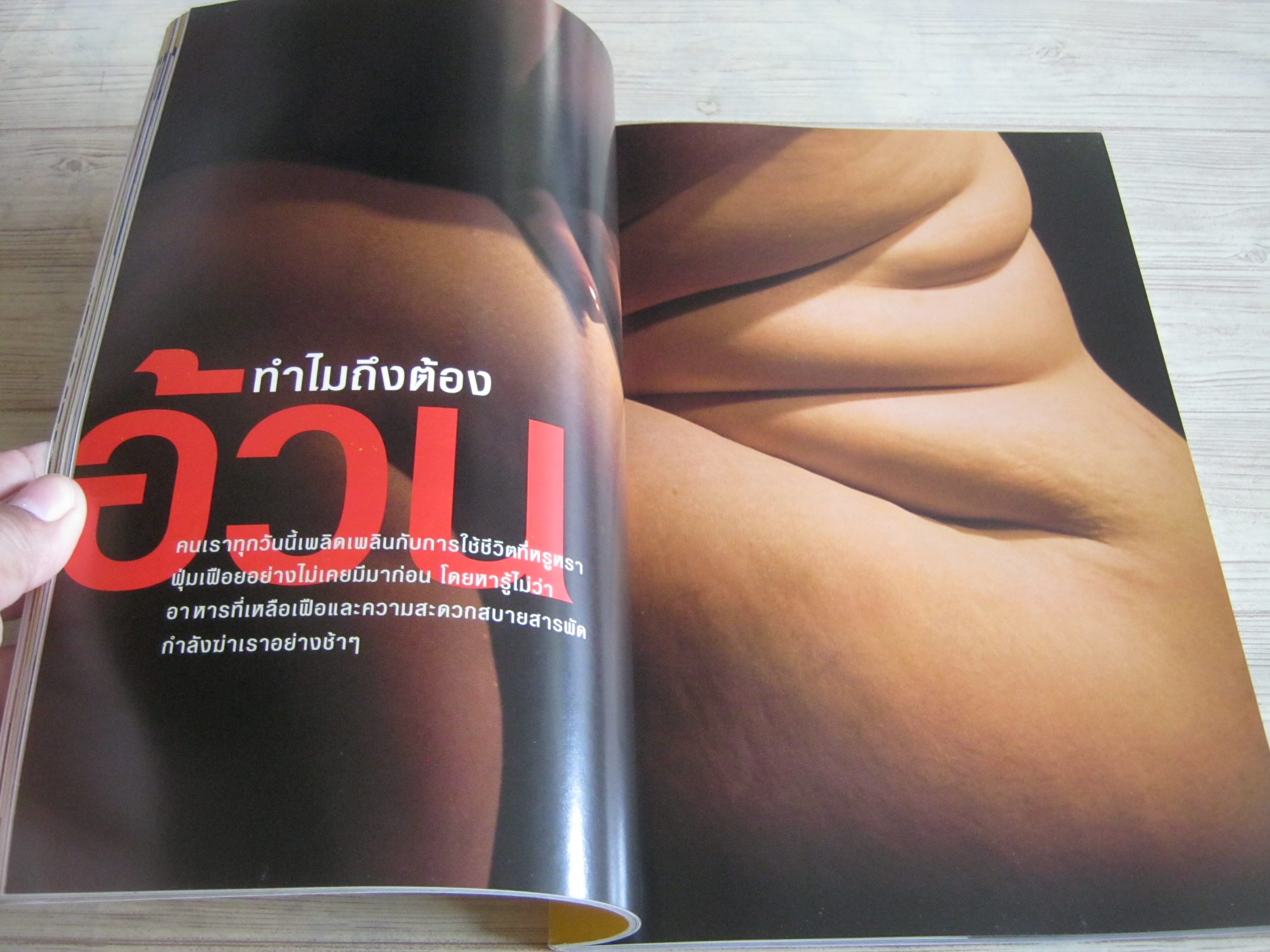 NATIONAL GEOGRAPHIC ฉบับภาษาไทย สิงหาคม 2547 ทำไมต้องอ้วน