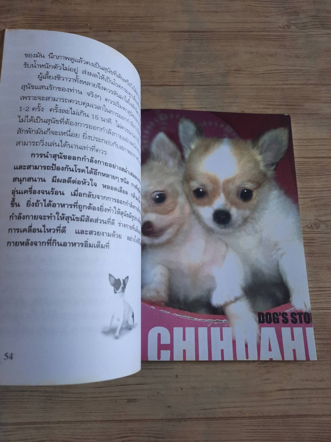 Dog's Story ชิวาวา (Chihuahua) โดย แพทย์หญิงจินตนา คงทวีกุล