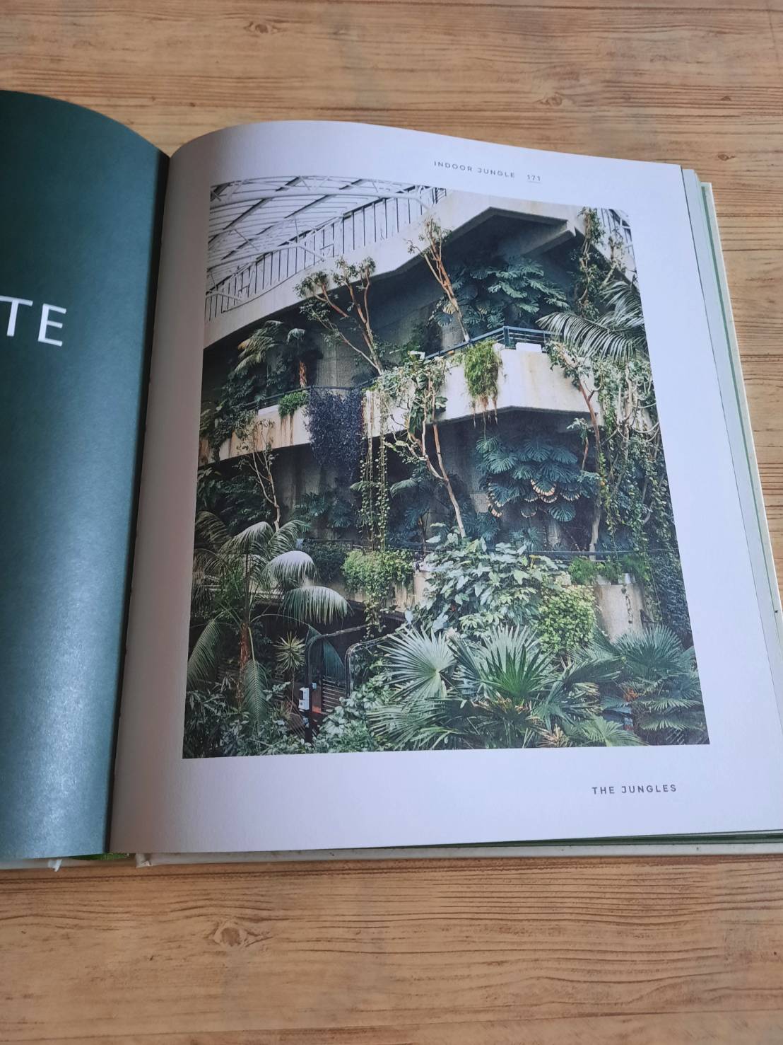 The Leaf Supply Guide to Greating Your Indoor Jungle By Lauren Comilleri + Sophia Kaplan (ปกแข็ง)