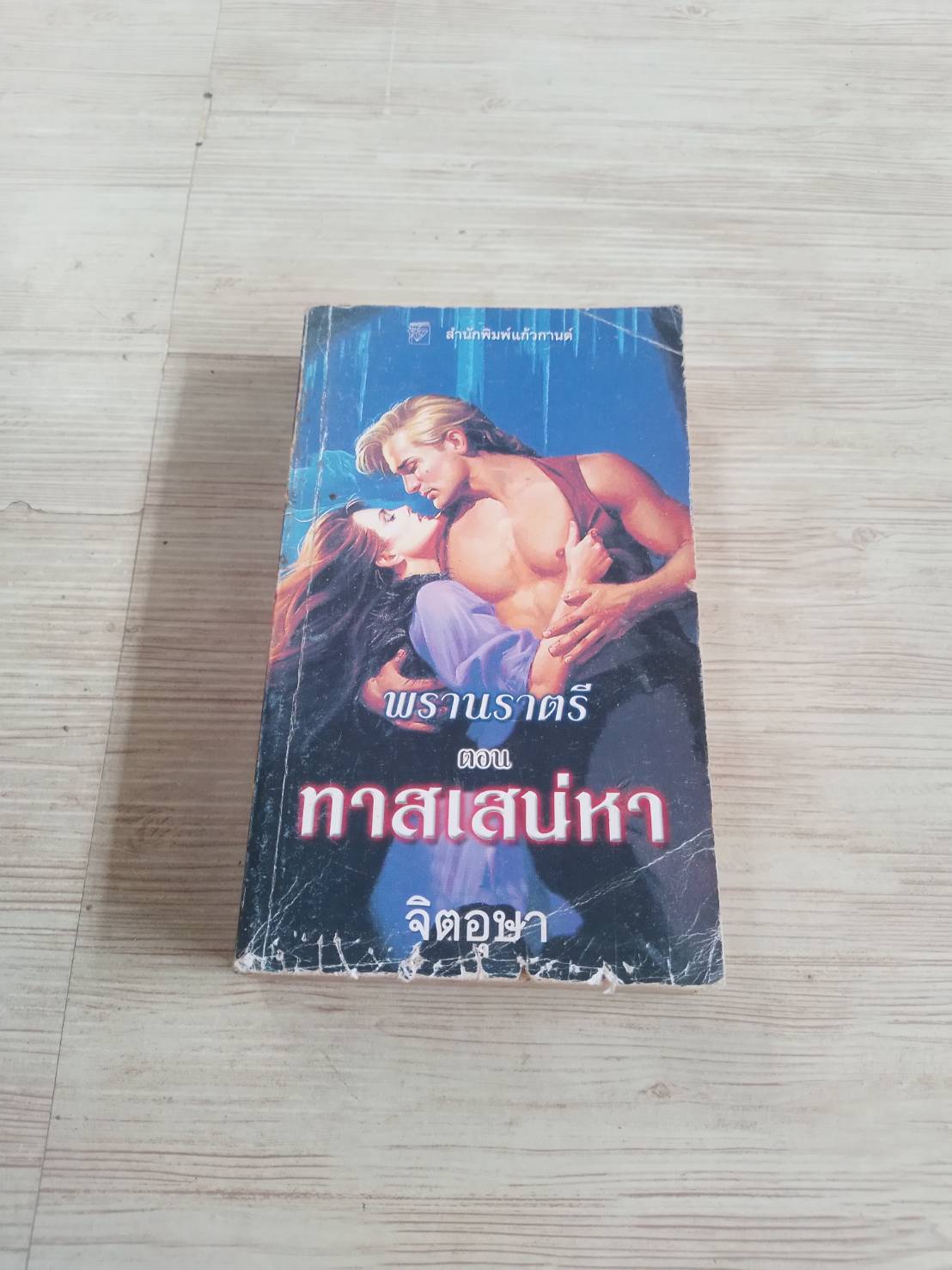 พรานราตรี ตอน ทาสเสน่หา (Dark Hunter : Night Pleasure) เชอร์ริลีน แคนยอน เขียน จิตอุษา แปล