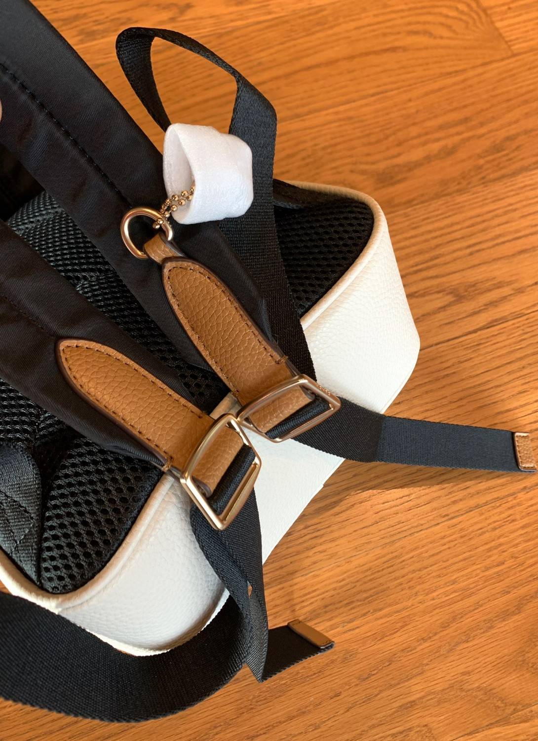 COACH MINI COURT BACKPACK IN SIGNATURE WITH PEAR ((c8258)) 🌈สวยกันก่อนใคร วางน้องไม่ลงเลยจริงๆค่าา😍 พร้อมส่ง! กับกระเป๋าสะพายหลังแบบมีหูหิ้วในตัว บอกก่อนเลยว่าหนังของน้องทั้งนิ่ม ทั้งสวย อย่างดีเลยค่ะ