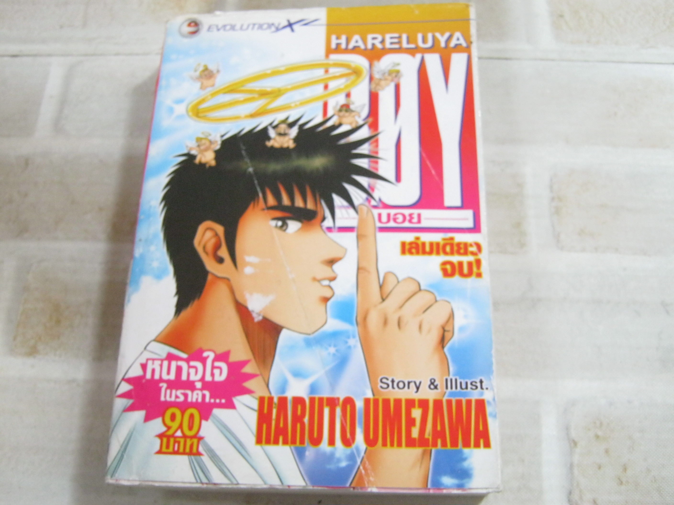 HARELUYA BOY เล้มเดียวจบ***สินค้าหมด***