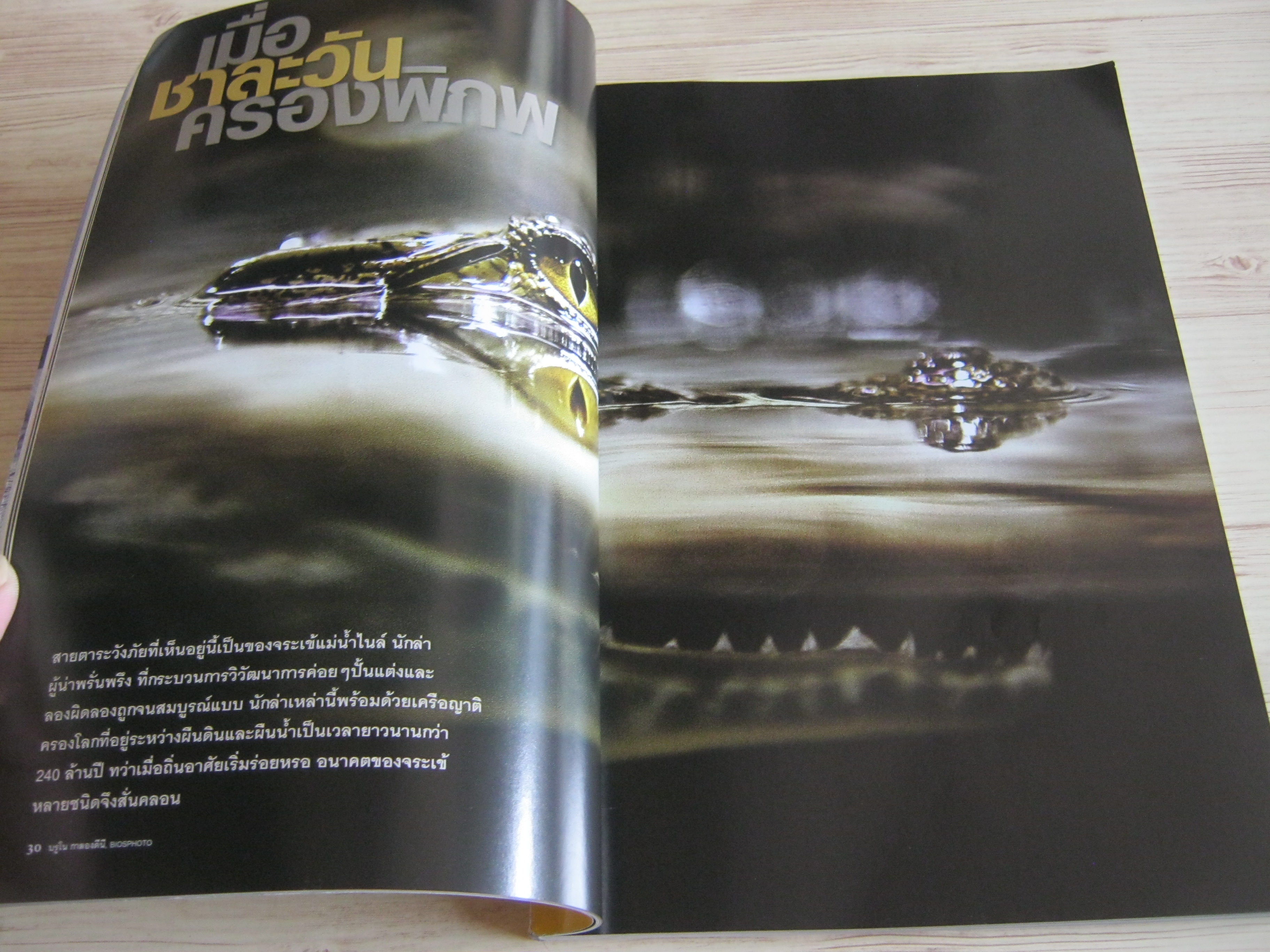 NATIONAL GEOGRAPHIC ฉบับภาษาไทย มีนาคม 2553 เมื่อชาละวันครองพิภพ