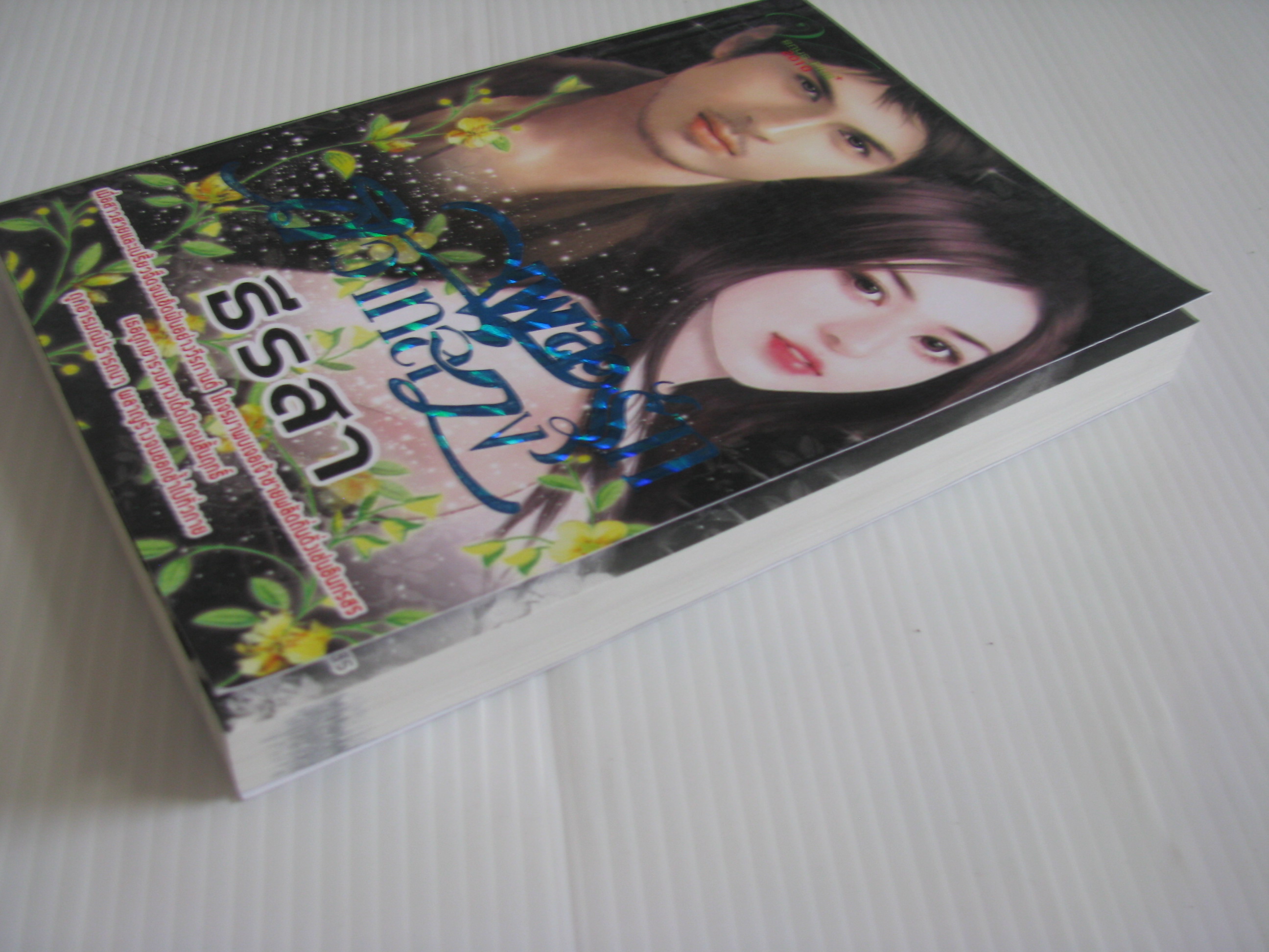 เพลิงรักสวาทลวง ธีรสา เขียน