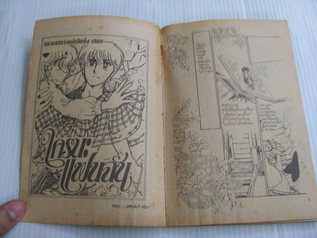 ใครนะแฟนฉัน ชุด เล่ม 1 และ เล่ม 3 (3 เล่มจบ)