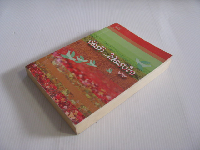 จัดรัก...ให้ตรงใจ ปาย เขียน