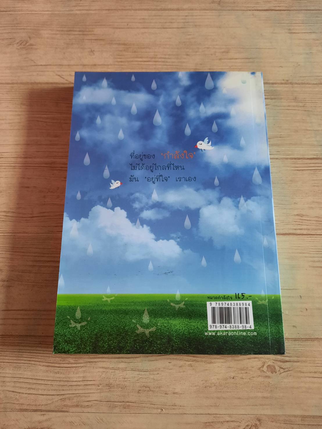 ชีวิตนี้...ไม่ได้มีแค่ขาลง