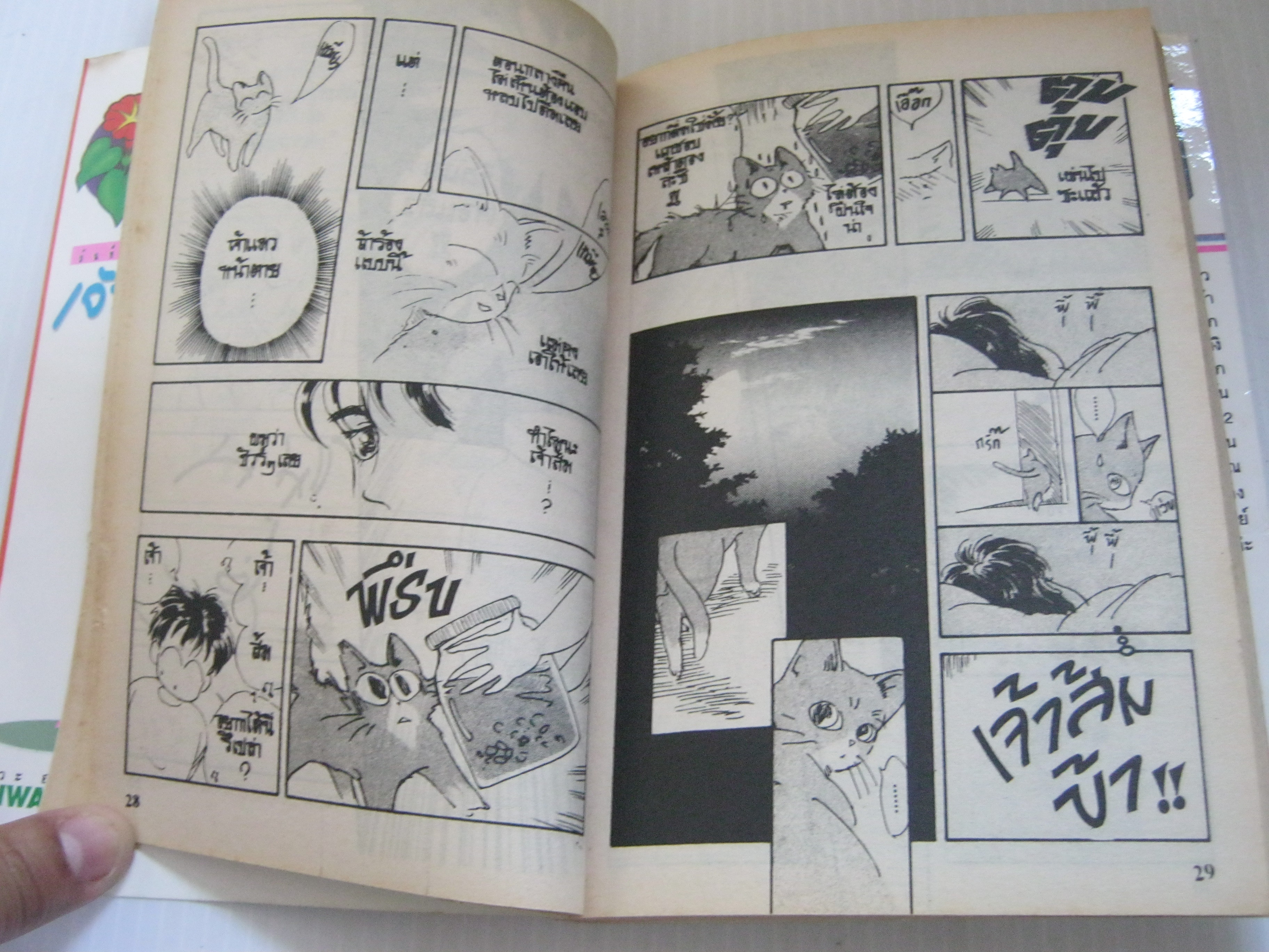 บันทึกของเจ้าส้ม เล่ม 1