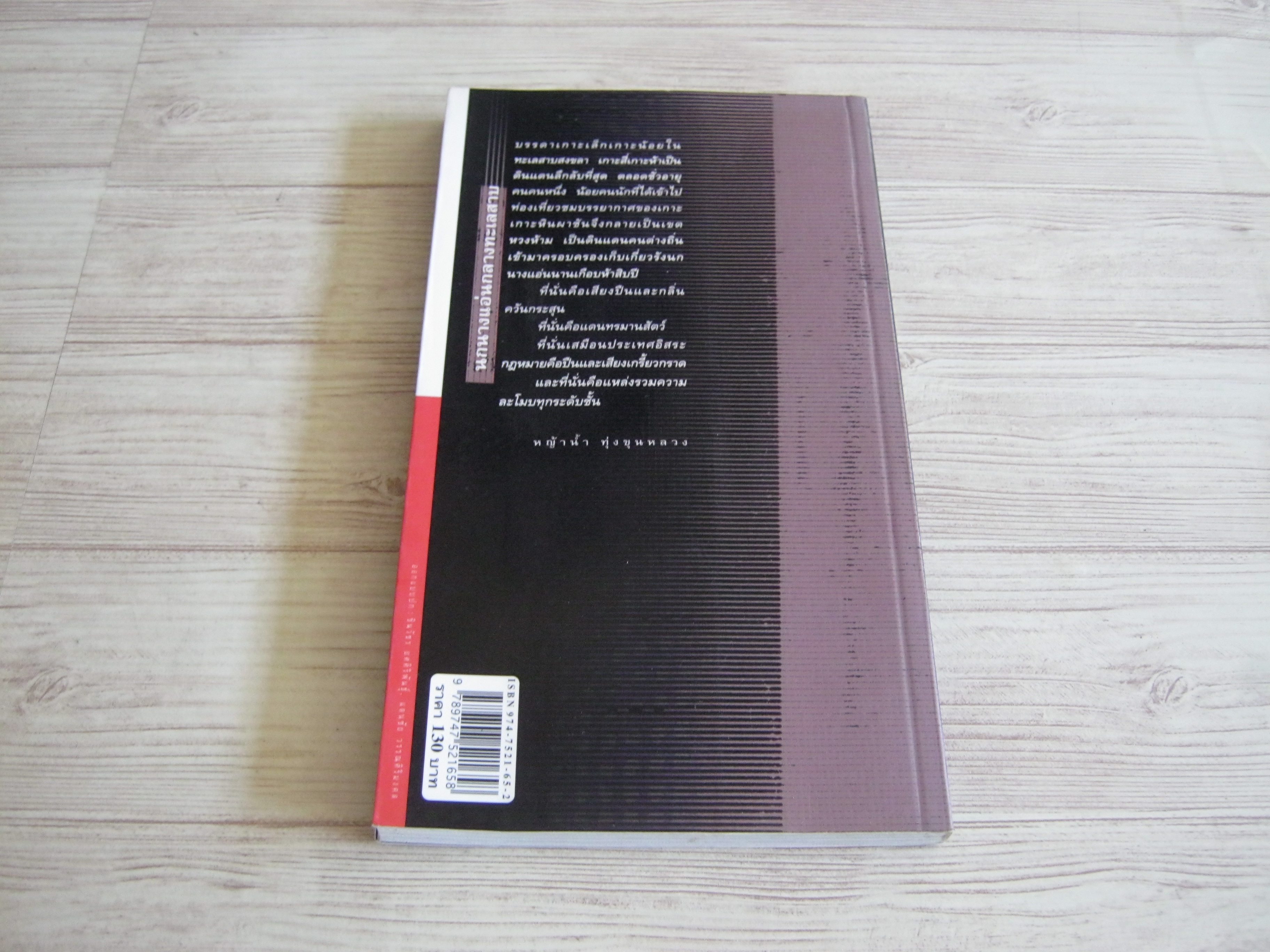 นกนางแอ่นกลางทะเลสาบ หญ้าน้ำ ทุ่งขุนหลวง เขียน