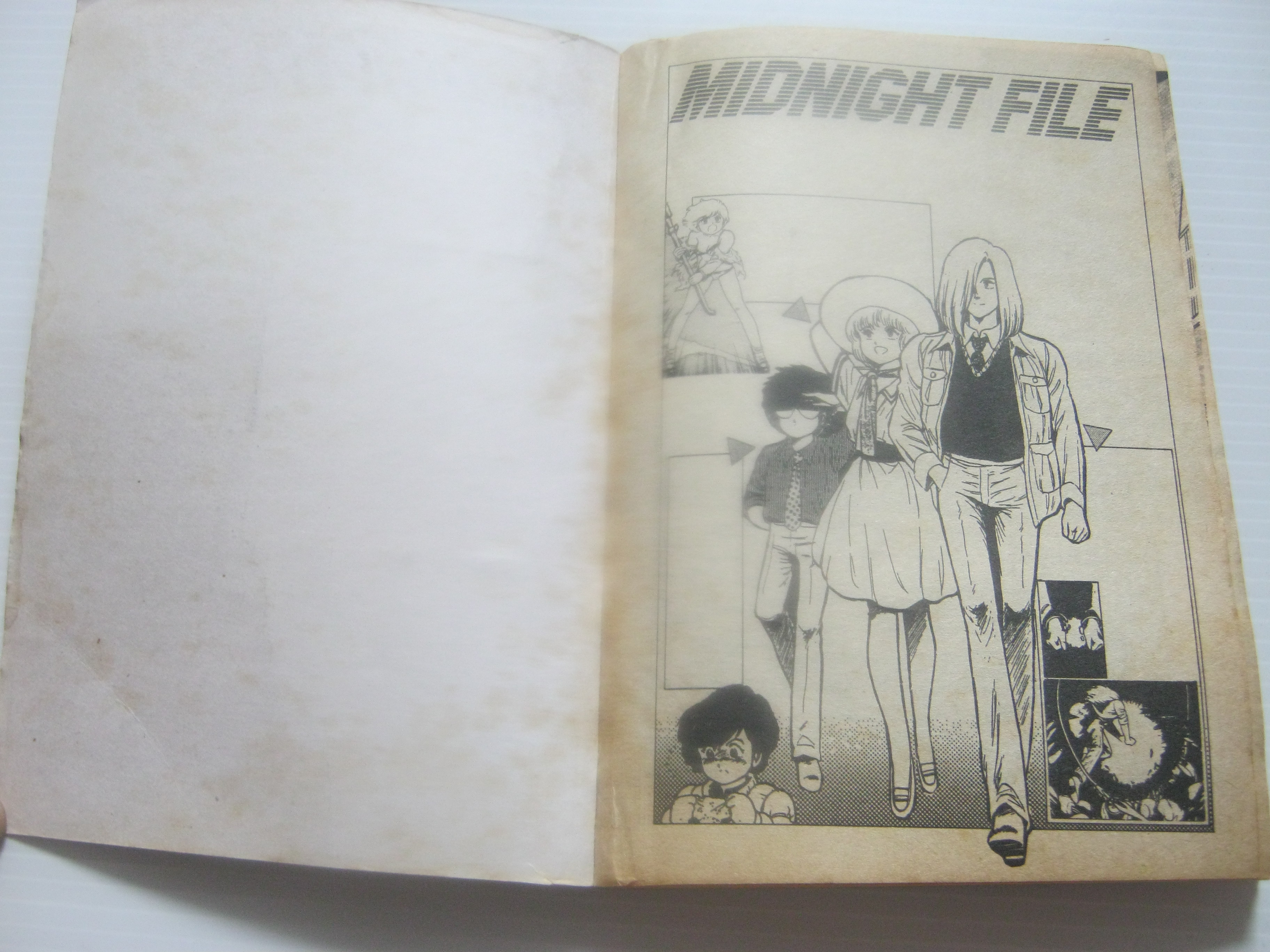 MIDNIGHT FILE เล่มเดียวจบ