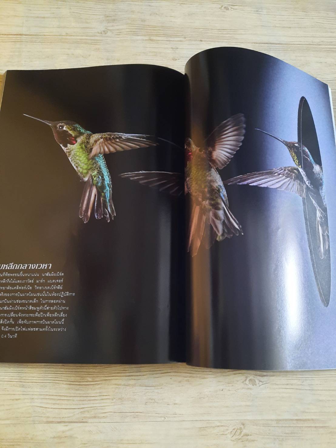 NATIONAL GEOGRAPHIC ฉบับภาษาไทย กรกฎาคม 2560 จับโกหก***สินค้าหมด***