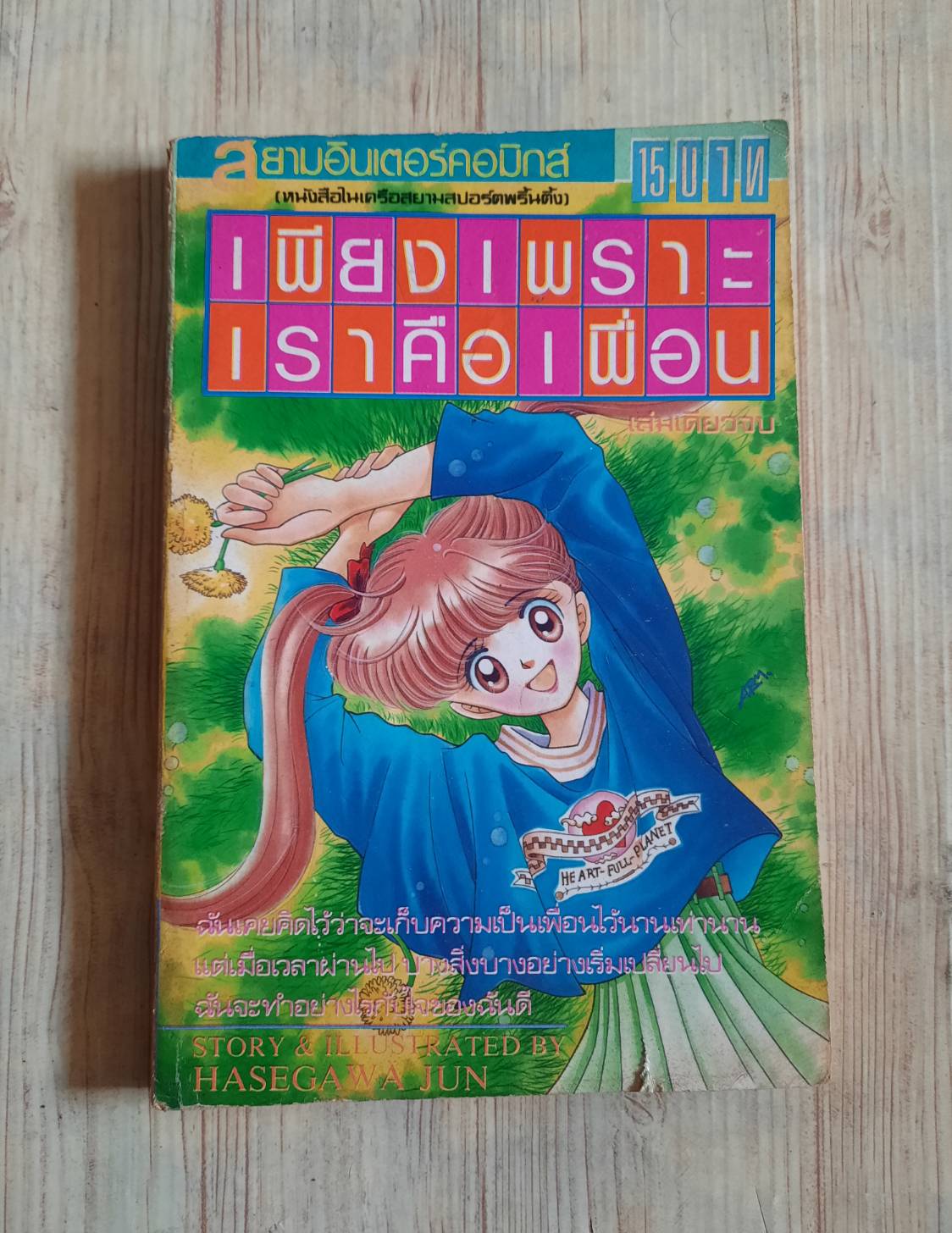 เพียงเพราะเราคือเพื่อน เล่มเดียวจบ