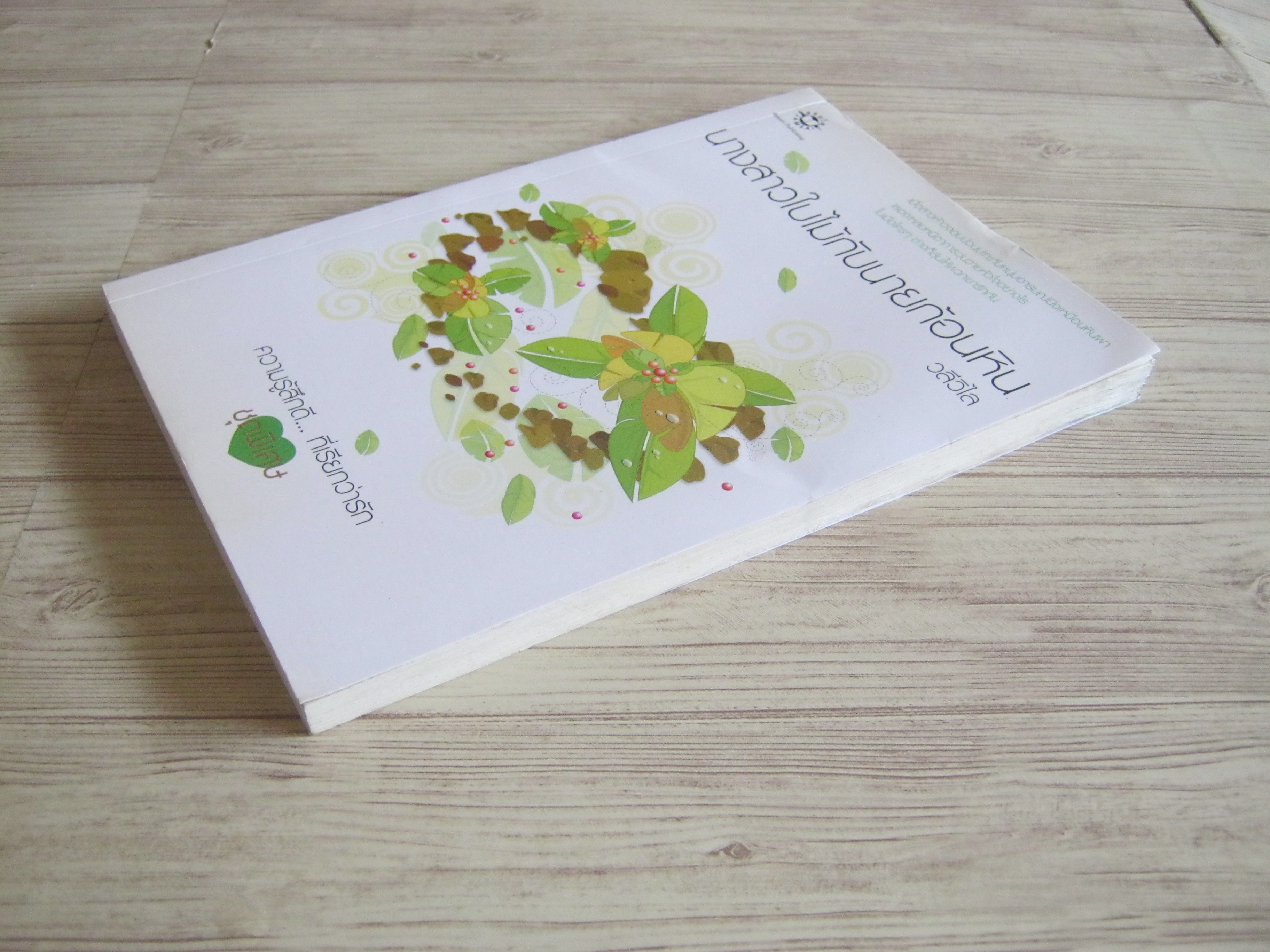 นางสาวใบไม้กับนายก้อนหิน วลีวิไล เขียน