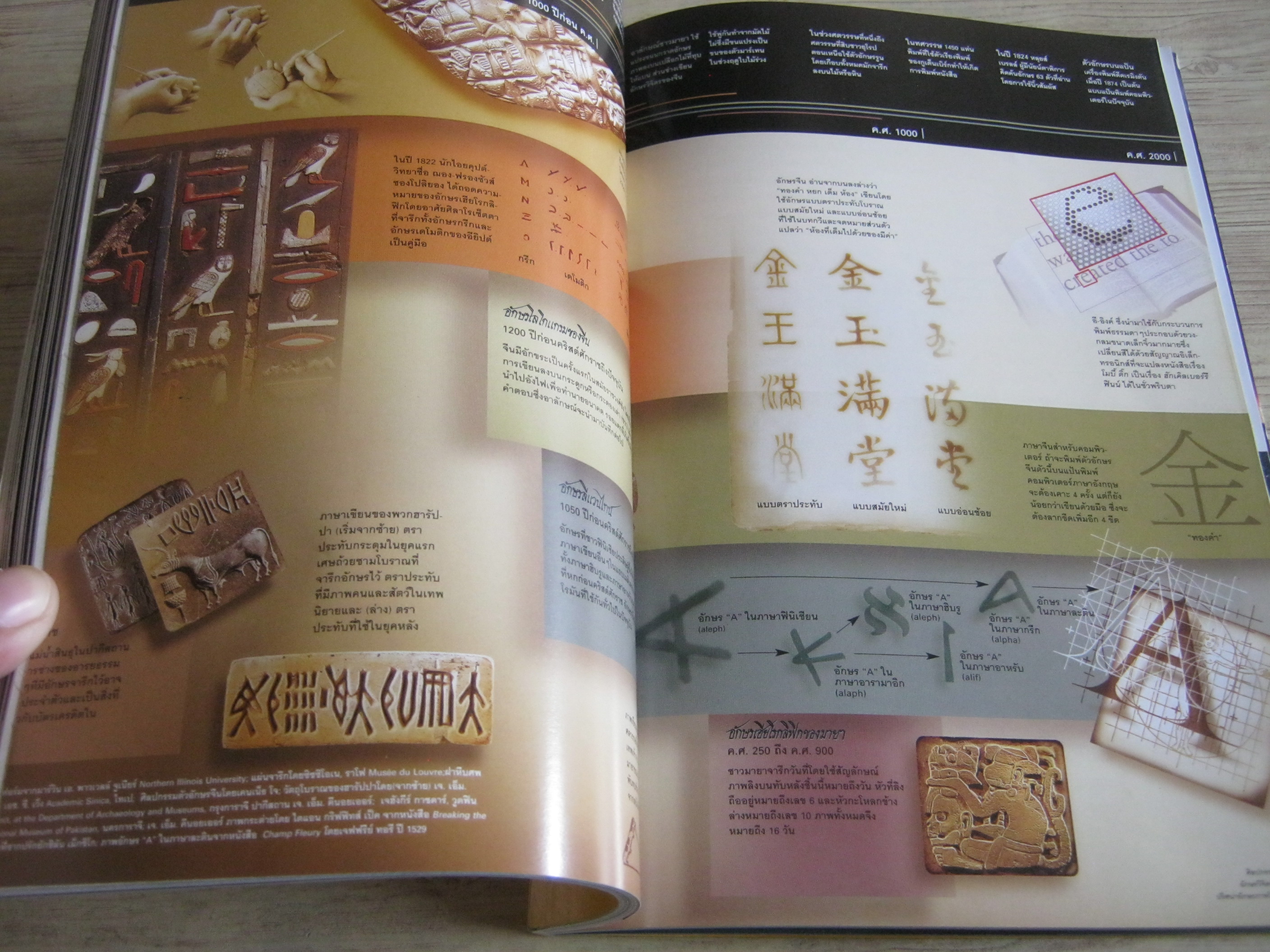 NATIONAL GEOGRAHIC ฉบับภาษาไทย กันยายน 2545 เมียร์แคต ยืนหยัดสู้โลก