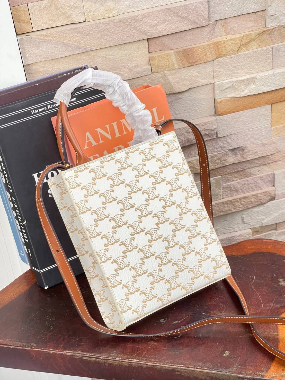 CELINE MINI VERTICAL CABAS IN TRIOMPHE CANVAS มีโลโก้ CELINE สกรีนอยู่ตรงกลาง ถือเป็นกระเป๋า Tote ที่ทำจากแคนวาสที่น่าสนใจมาก ๆ อีกรุ่นหนึ่ง และเป็นรุ่นที่ได้รับคำชื่นชมจากแฟชั่นกูรูทั้งหลายอีกด้วย หากใครที่อยากเป็นเจ้าของกระเป๋า Tote จาก CELINE สักใบ รุ่