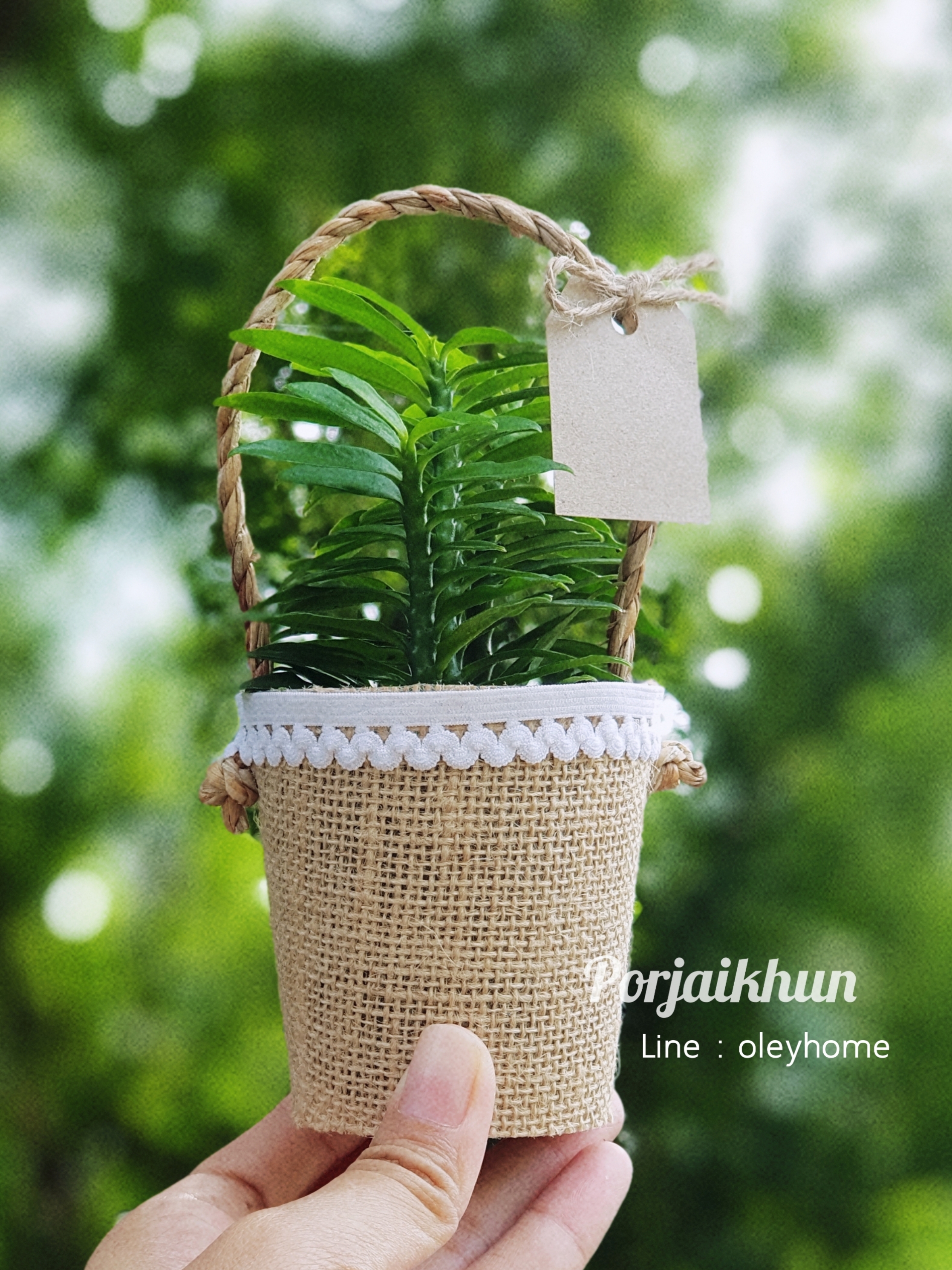 ของชำร่วยต้นไม้มงคลสวมปลอกกระสอบแต่งลูกไม้