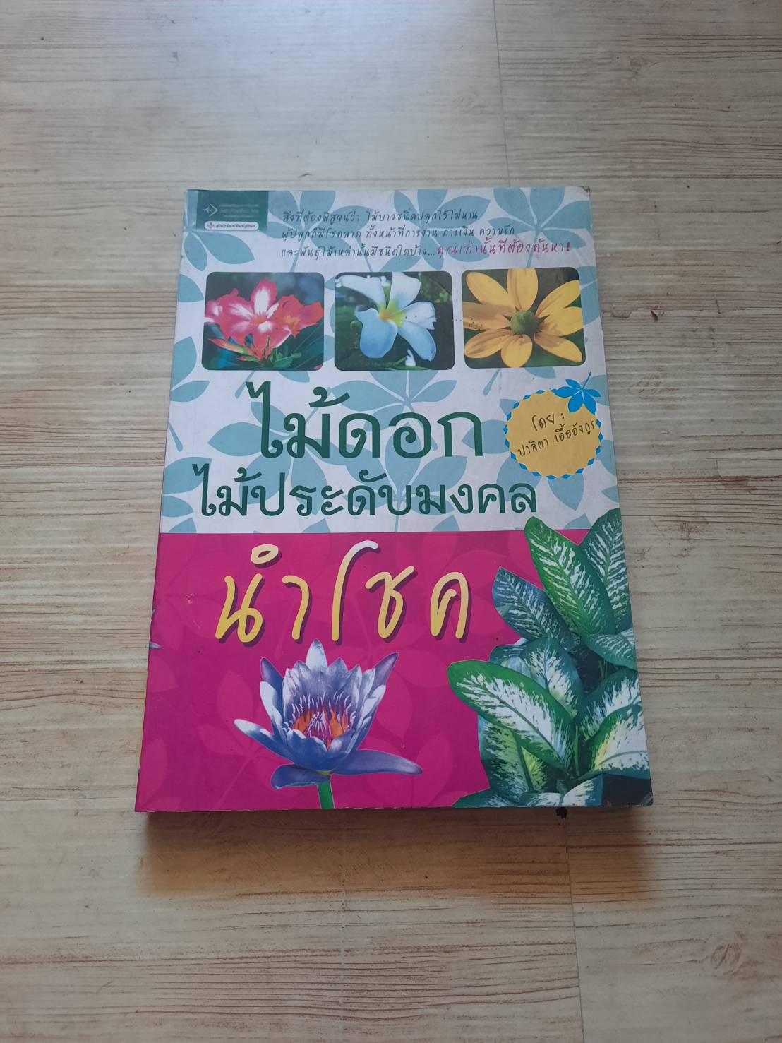 ไม้ดอก ไม้ประดับมงคลนำโชค โดย ปาลิตา เอื้ออังกูร***สินค้าหมด***
