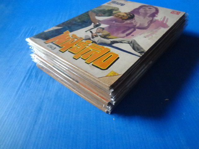 พันธ์เสือ เล่ม 3 - เล่ม 10 (เล่มจบ) จำนวน 8 เล่ม เขียนโดย รังรอง