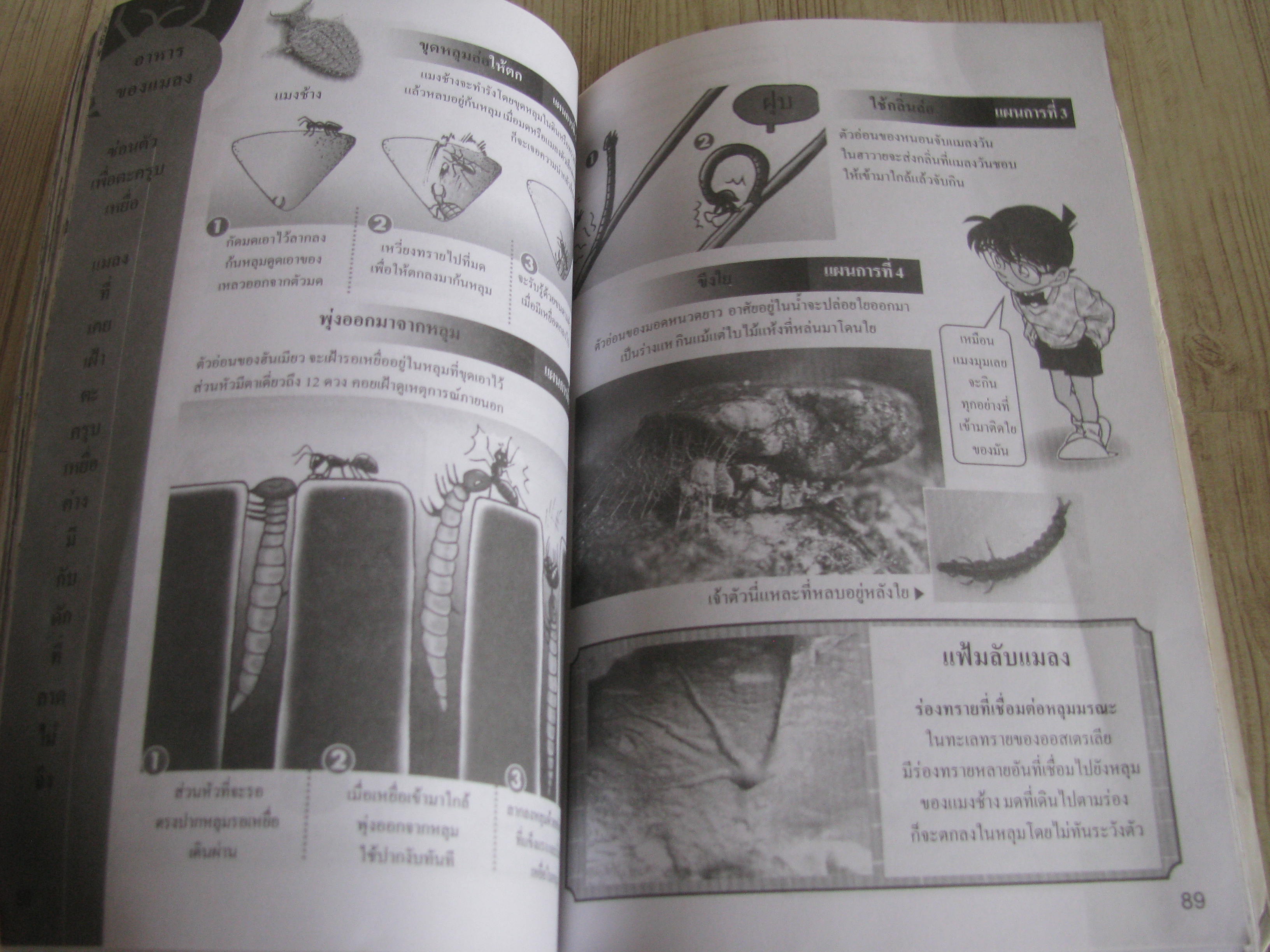 โตนัน ตอน ไขปริศนาแมลง จบในเล่ม
