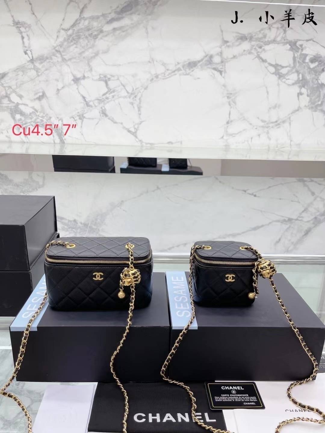 Chanel Pearl Crush Mini Vanity / Chanel Vanity crossbody bag กระเป๋าทรงกล่องใบเล็กน่ารัก มี 2 ขนาด งานหนังสวย ตอบโจทย์และครองใจสาวๆ ได้อย่างแท้จริง ดีไซน์เรียบหรู