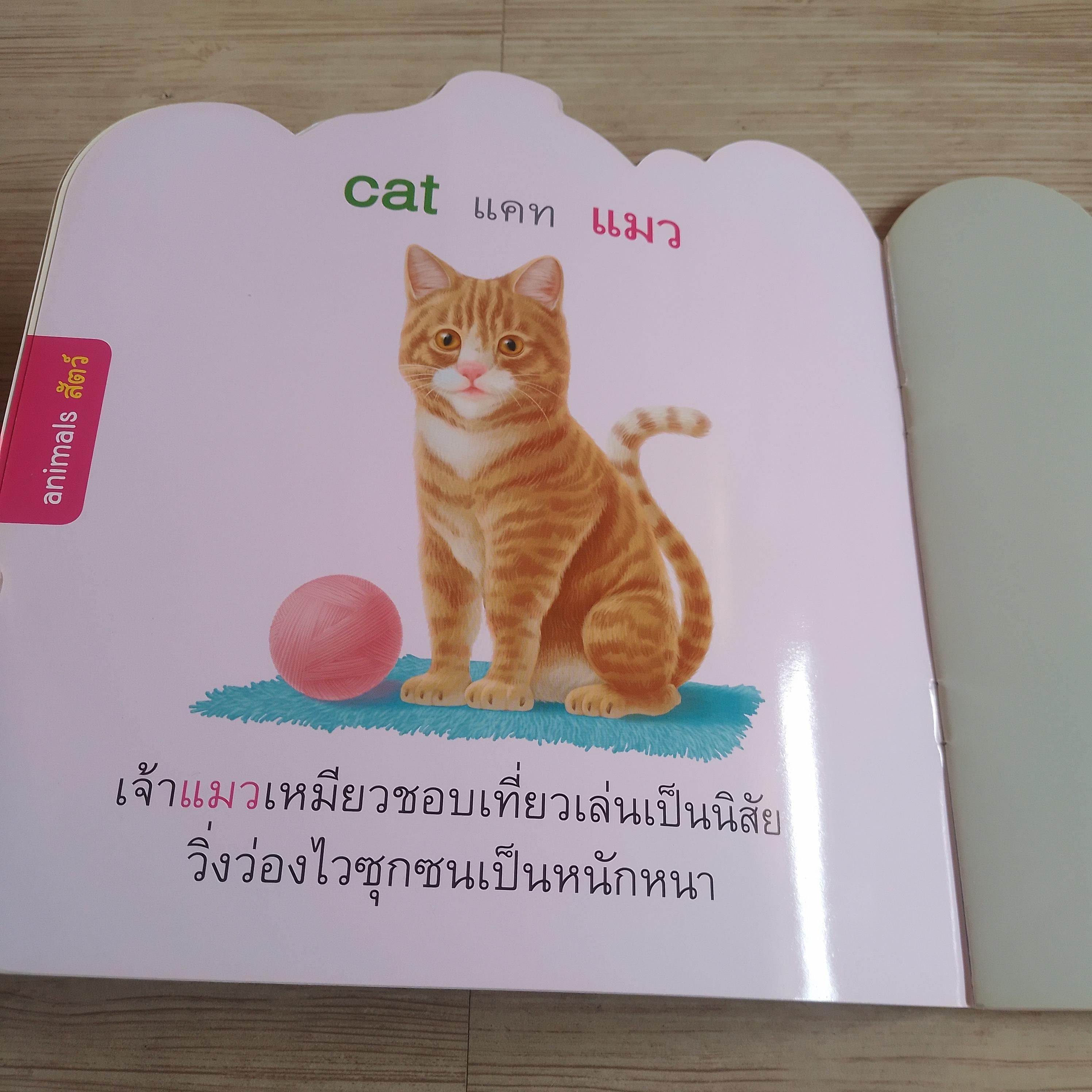 หนูชอบสัตว์น่ารัก (I Like Cute Animals)