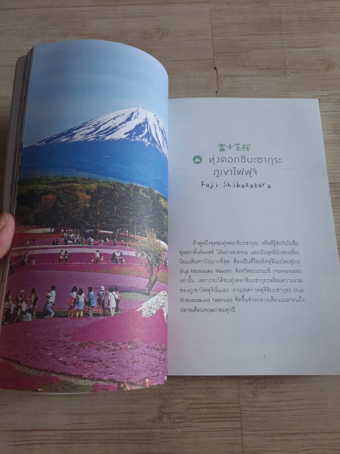 เที่ยวญี่ปุ่นไม่ซ้ำใคร เที่ยวญี่ปุ่นดอทคอม เรื่องและภาพ