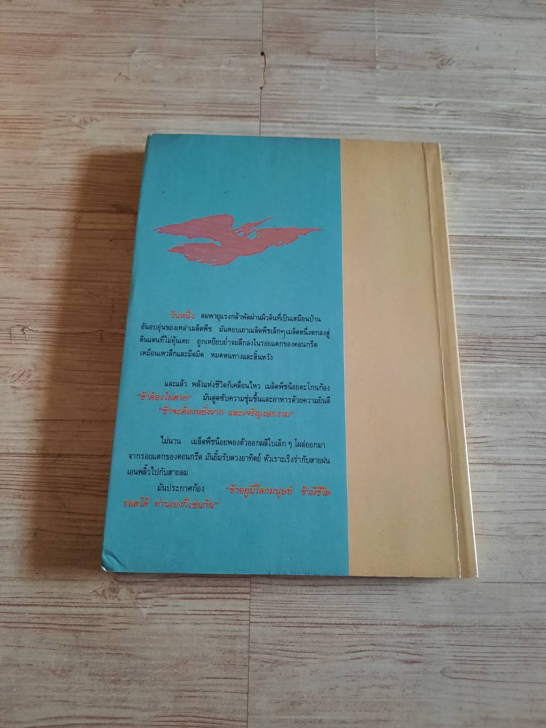 สู่ความสำเร็จด้วยพลังใจ โดย "อัจฉรี"