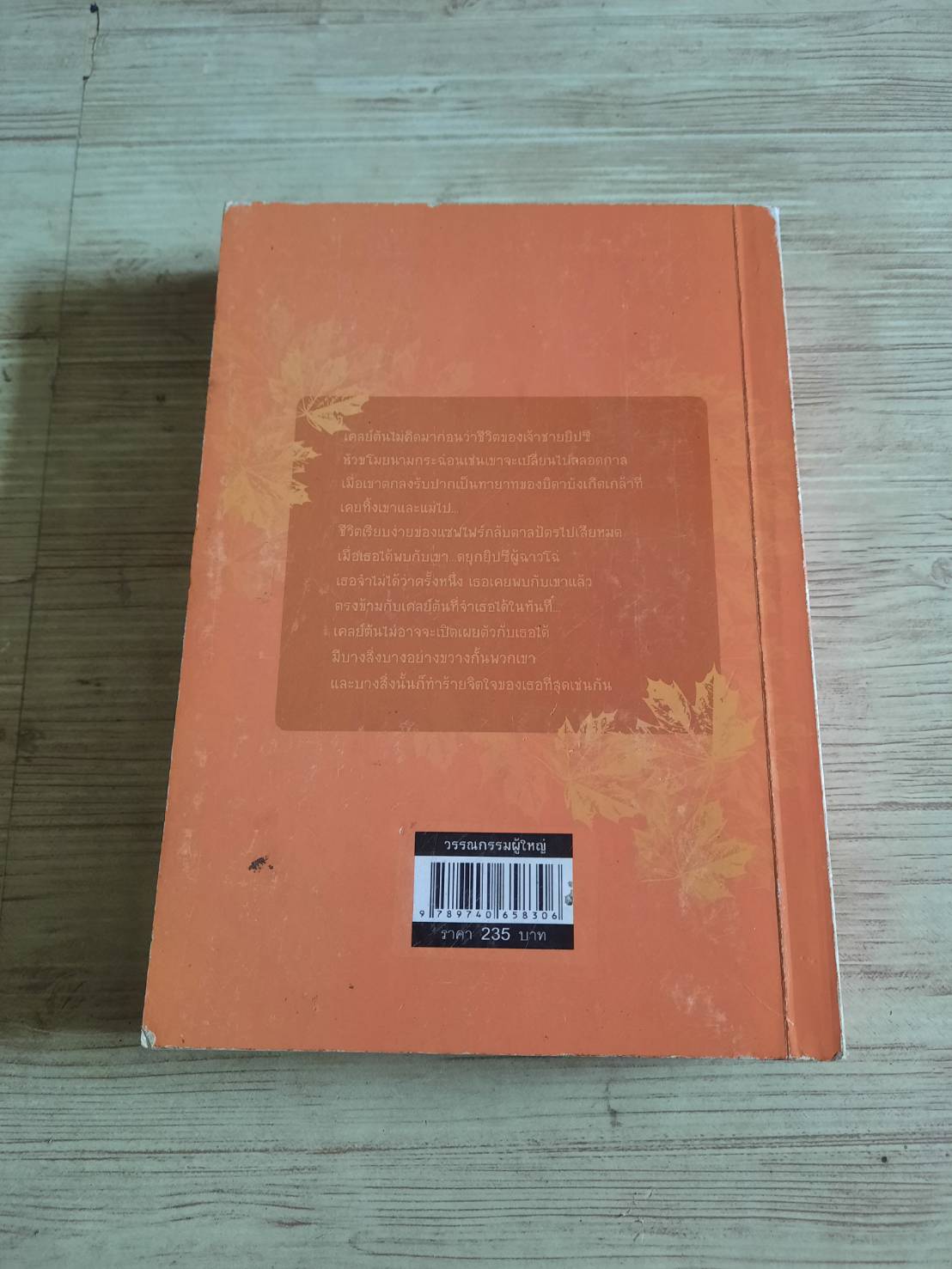 เจ้าชายยิปซี (The Gypsy Prince) รุ้งพราย เขียน