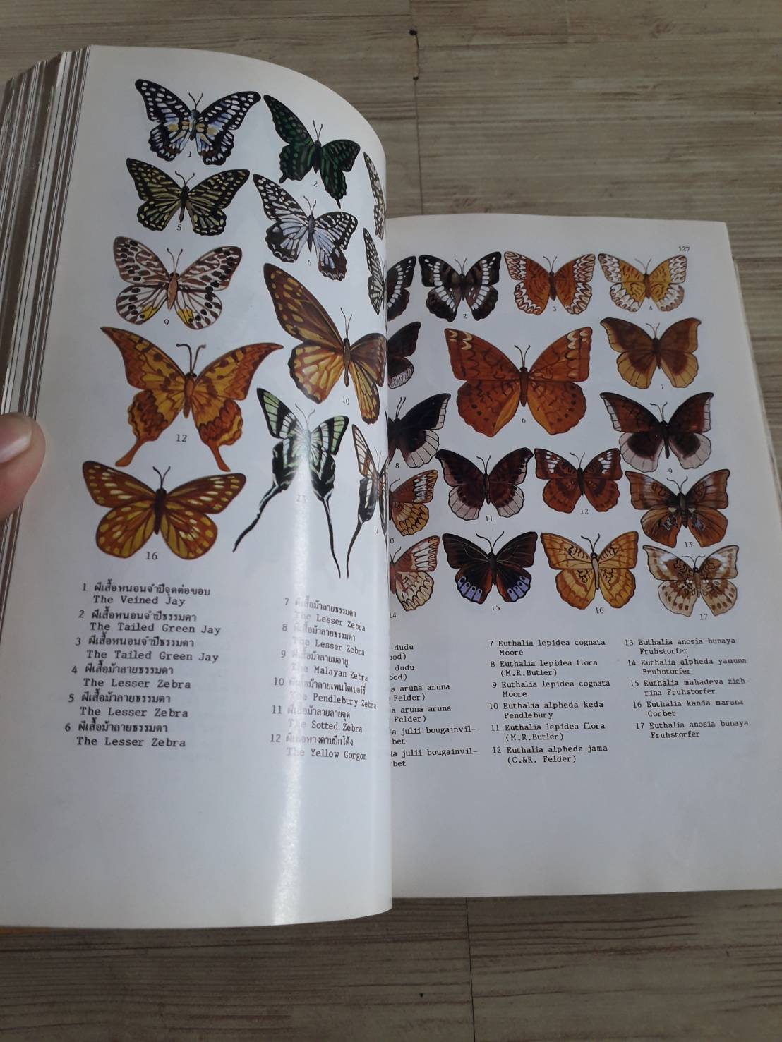 พจนานุกรมสัตว์และพืชในเมืองไทย ดร.วิทย์ เที่ยงบูรณธรรม เขียน (ปกแข็ง)***สินค้าหมด***