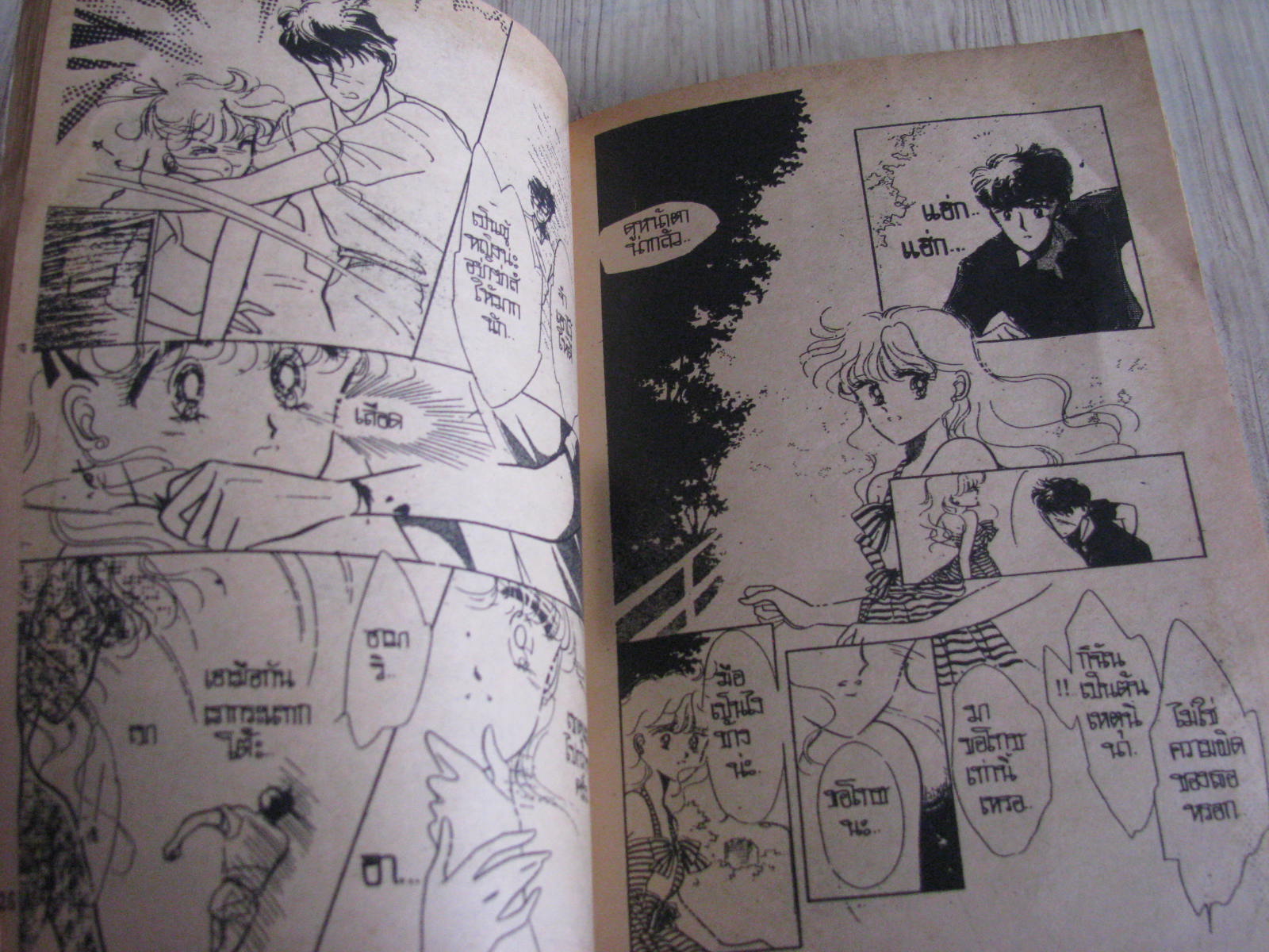 หัวใจรักอําพราง เล่มเดียวจบ Takeuchi Naoko เขียน