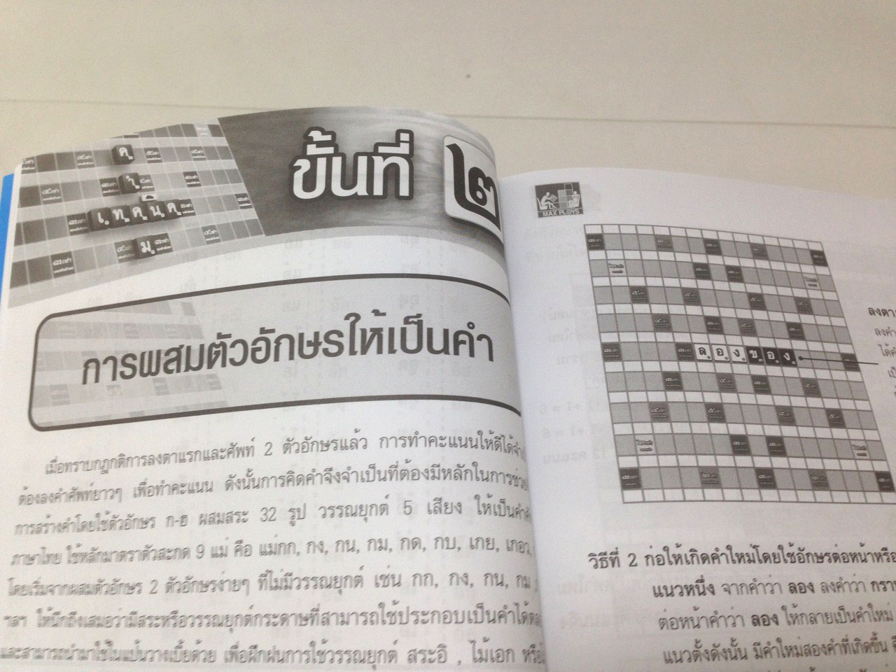 หนังสือคู่มือการเล่นคำคม