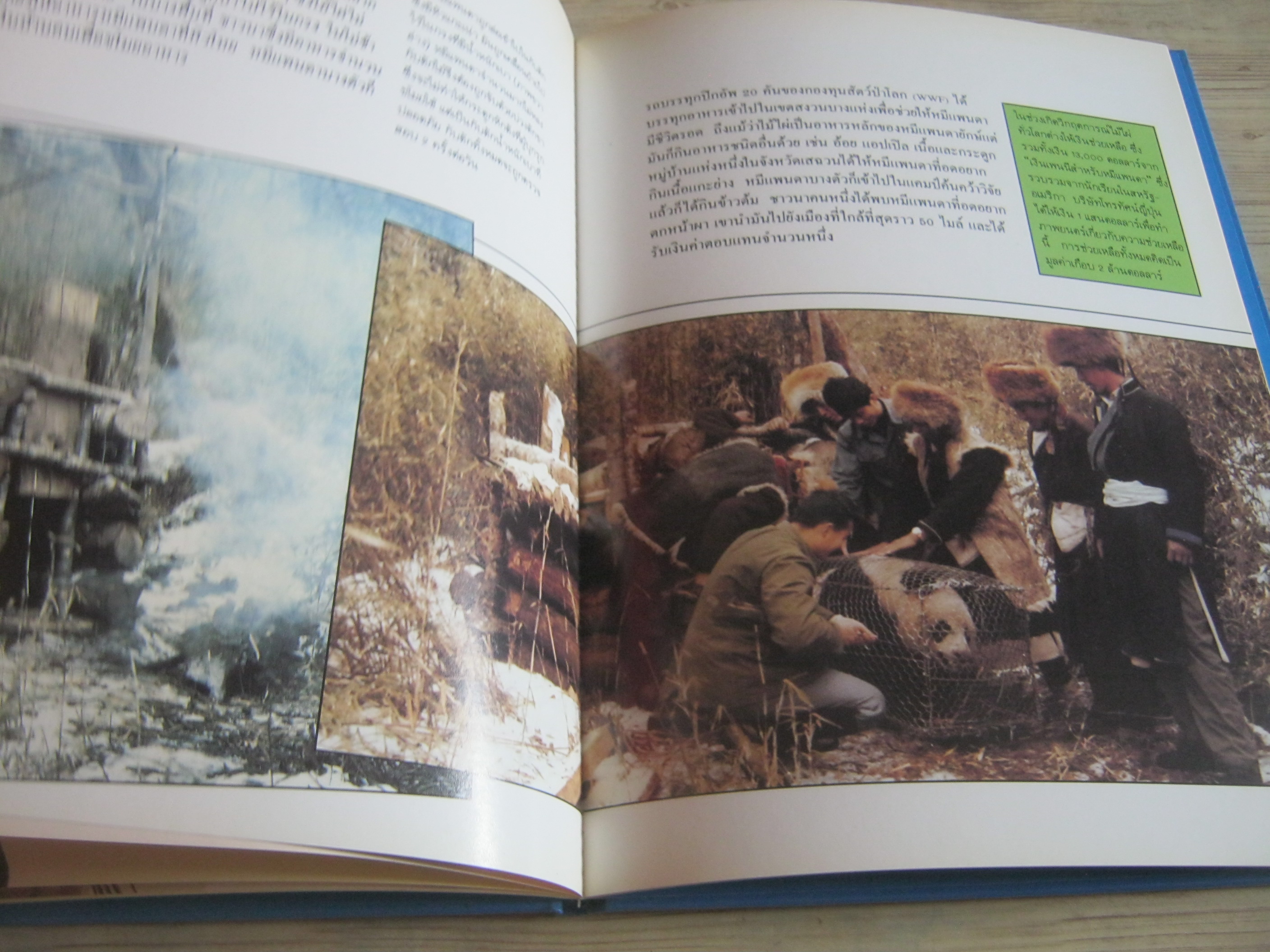 สารานุกรมชุดการอนุรักษ์สัตว์ป่า หมีแพนด้ายักษ์ ไมเคิล ไบรต์ เขียน ทัศพร ลือสิงหนาท แปล