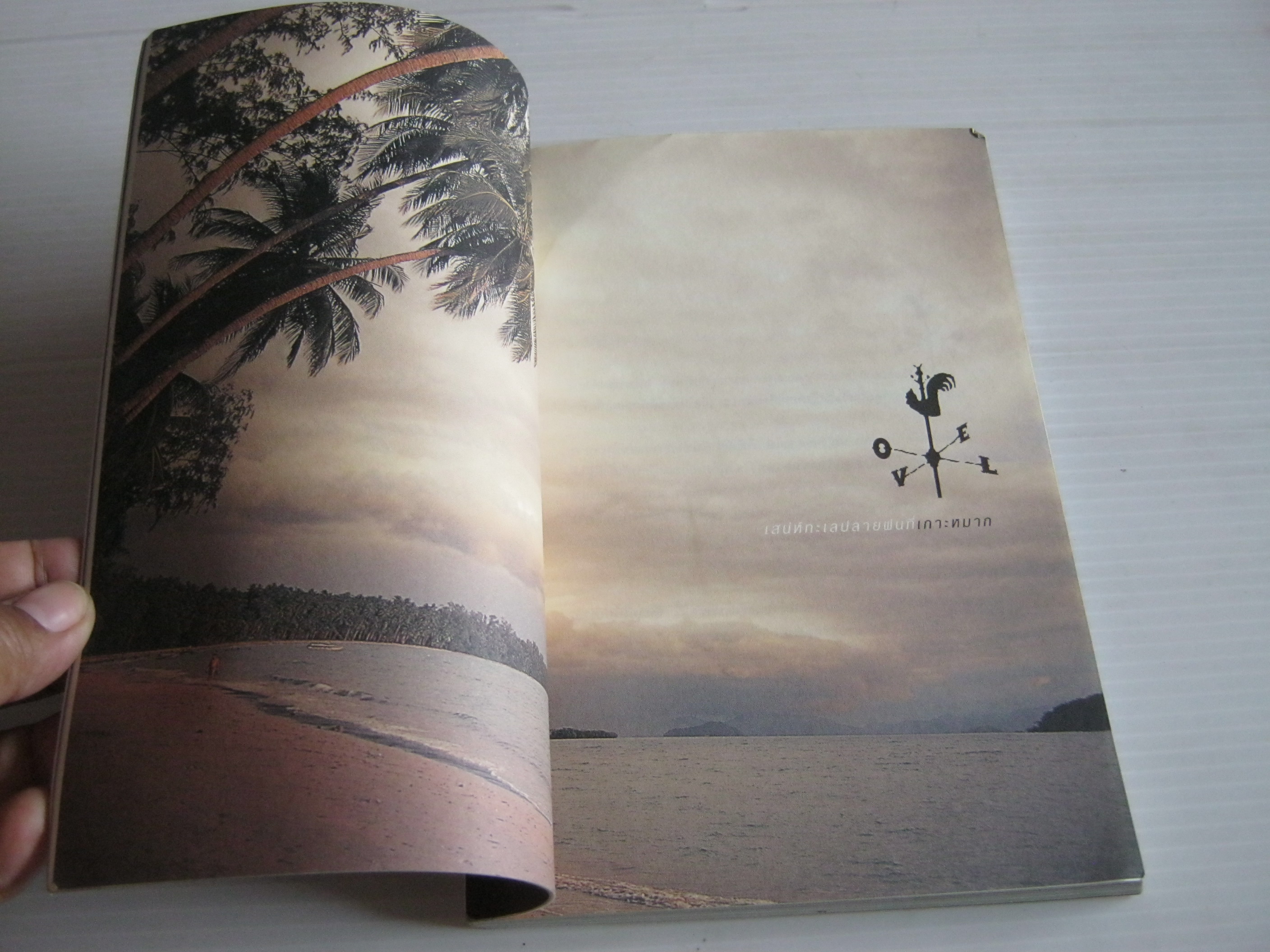 สายลม ดอกไม้ ความรัก พิมพิดา กาญจนเวทางค์ เขียน