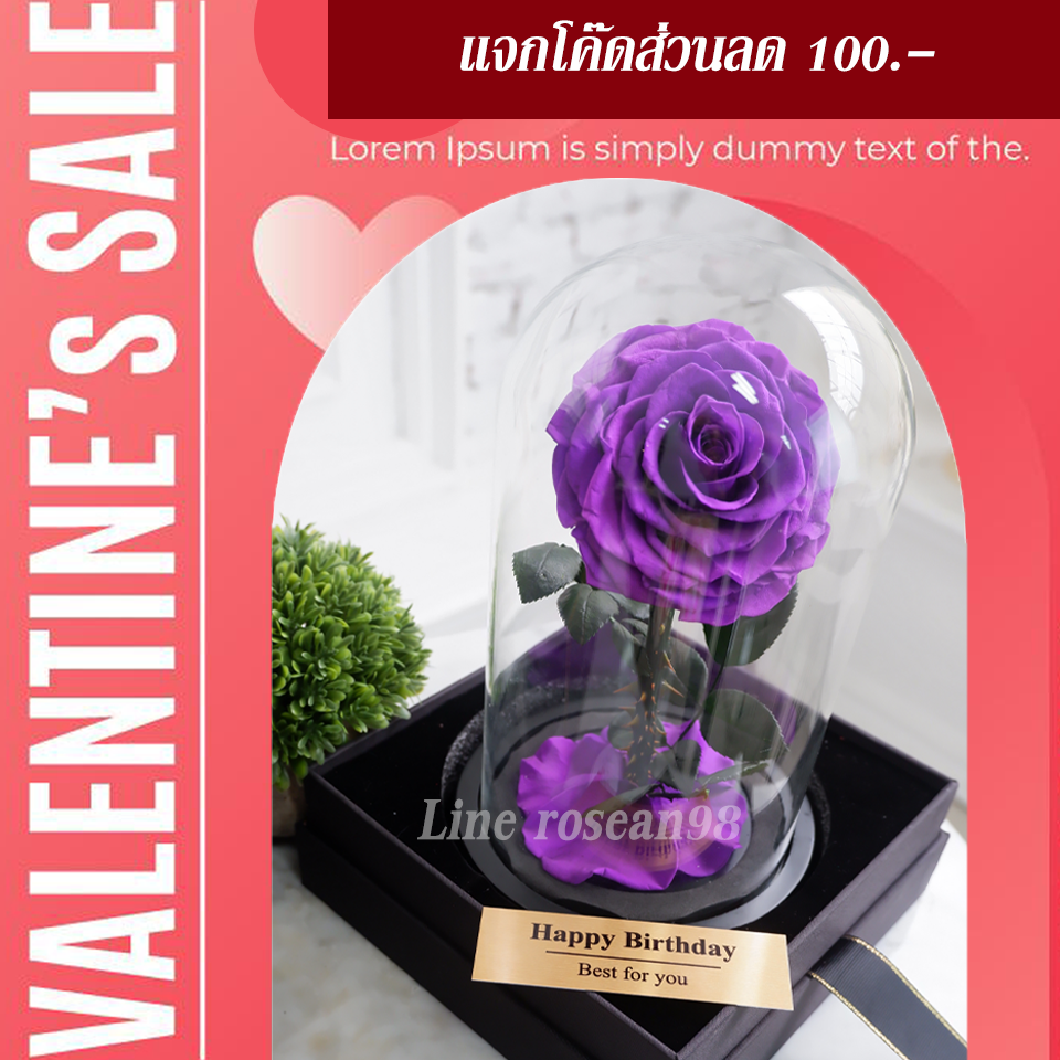 กุหลาบอมตะ กุหลาบในโหลแก้ว กุหลาบสีม่วง กุหลาบโฉมงามกับเจ้าชายอสูร