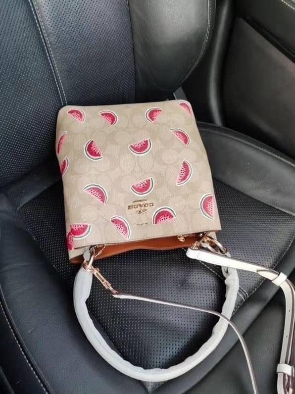 OUTTLET 】COACH SMALL TOWN BUCKET BAG IN SIGNATURE CANVAS WITH WATERMELON PRINT