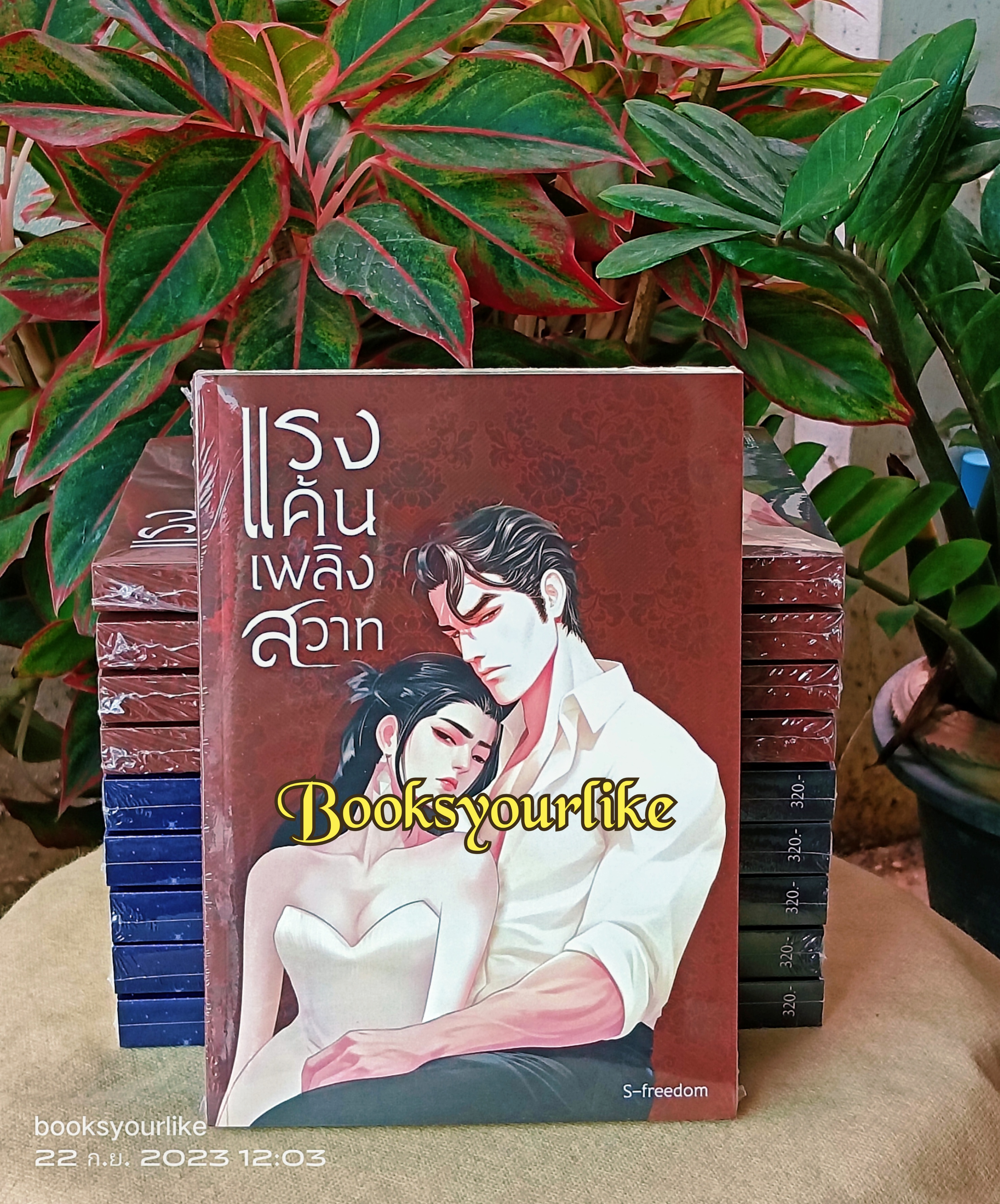 แรงแค้นเพลิงสวาท ปกอ่อน,ผู้แต่ง ,เอสฟรีดอม, SFreedom,นิยายรักโรมานซ์ทำมือ