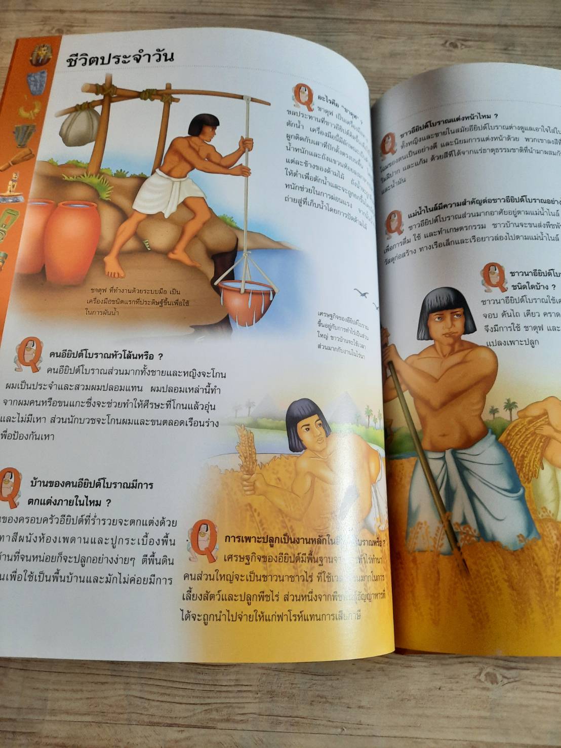 เปิดโลกเมืองโบราณอียิปต์ (Step Into The World of Ancient Egypt)***สินค้าหมด***