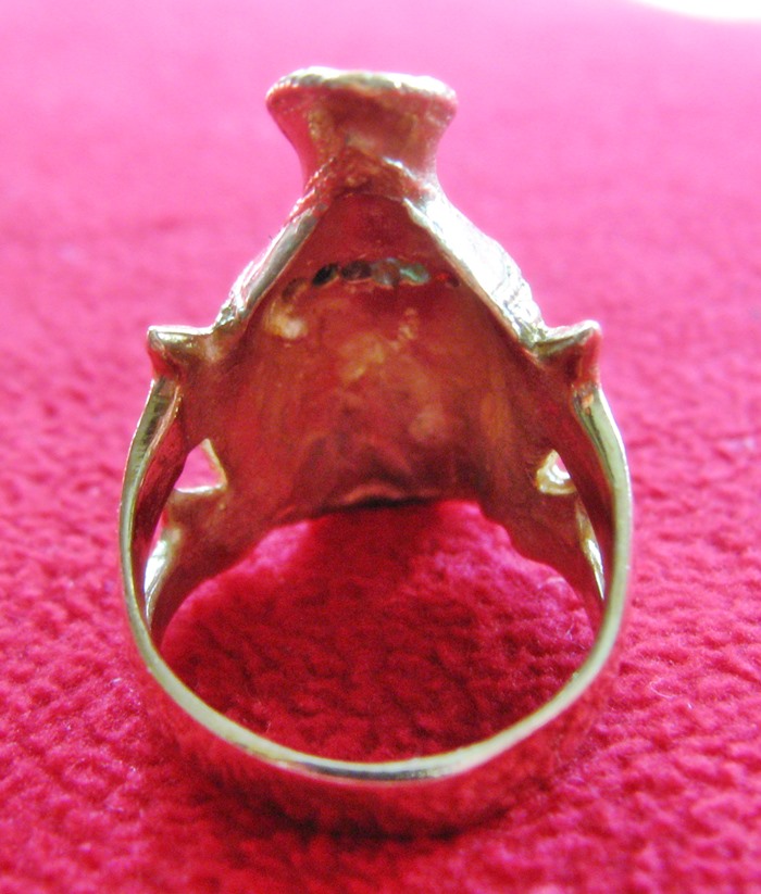 สินค้าหมดค่ะ แหวนพ่อแก่พลอยนพเก้าเนื้อทองเหลืองแบบ1ค่ะ