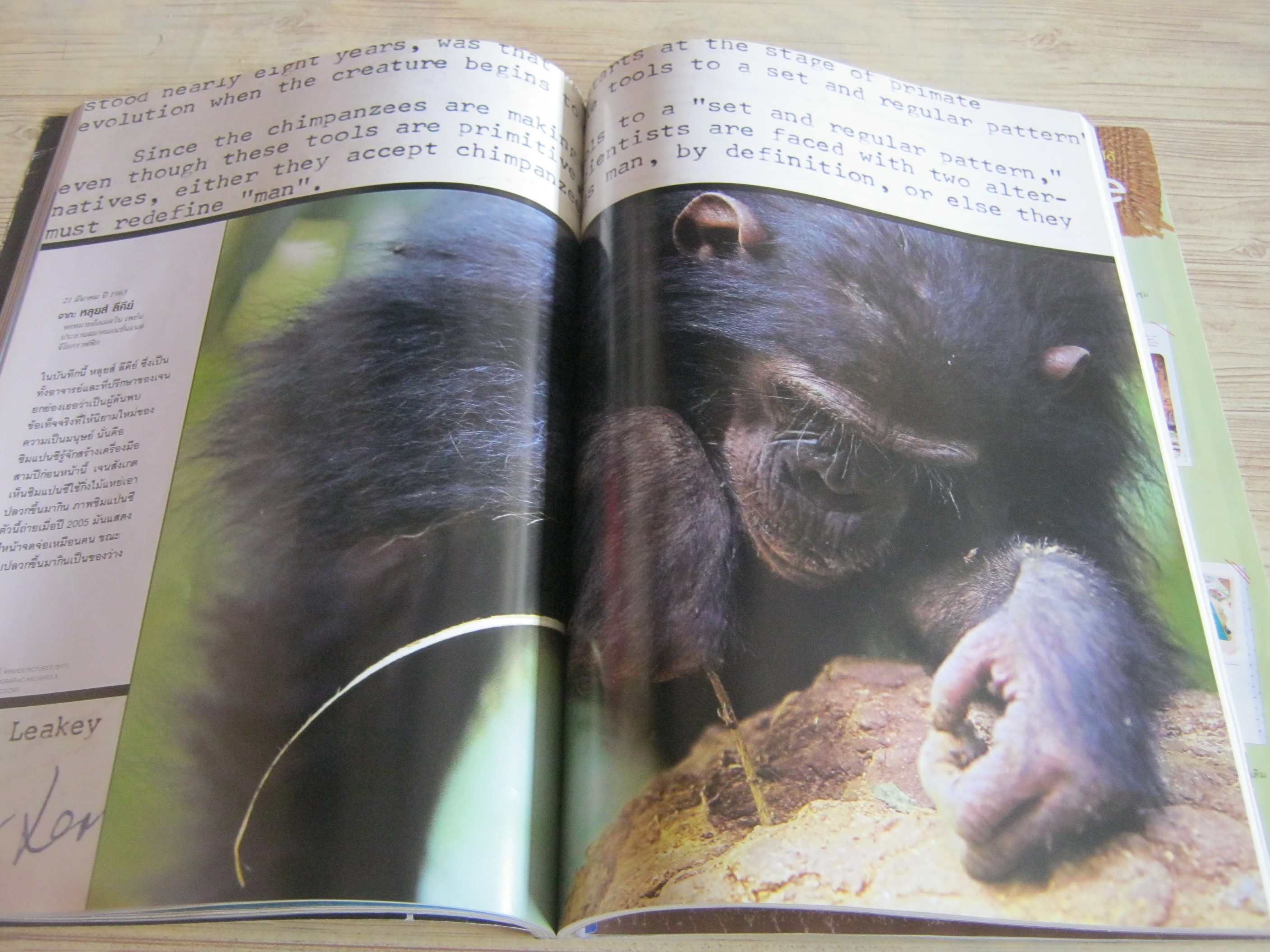 NATIONAL GEOGRAPHIC ฉบับภาษาไทย ตุลาคม 2553 รายงานพิเศษวิกฤติน้ำมันรั่ว