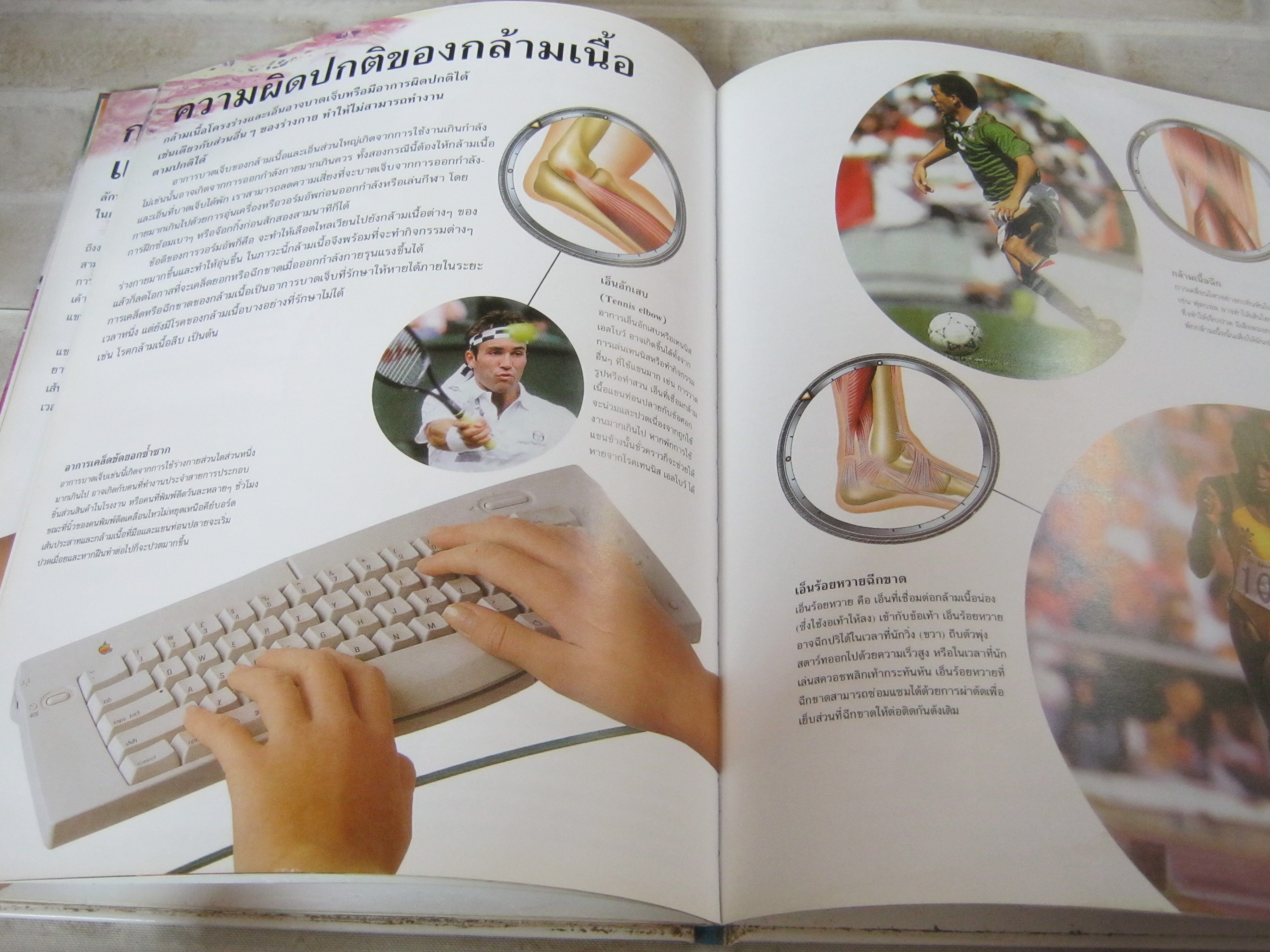 ร่างกายของมนุษย์ กล้ามเนื้อ ริชาร์ด วอล์คเกอร์ เขียน เยาวนันท์ เชฏฐรัตน์ แปล