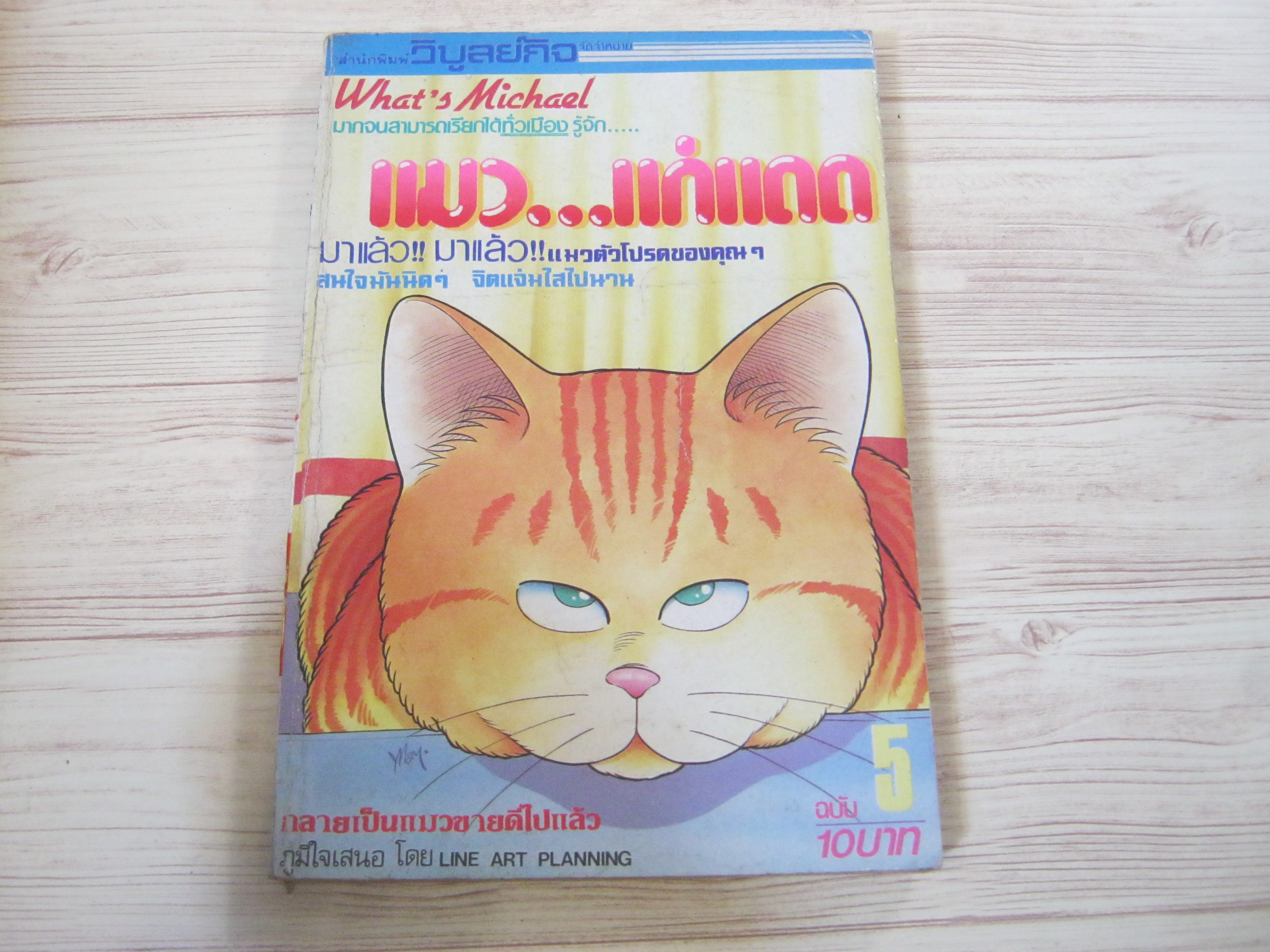 What 's Michael แมวแก่แดด เล่ม 5***สินค้าหมด***