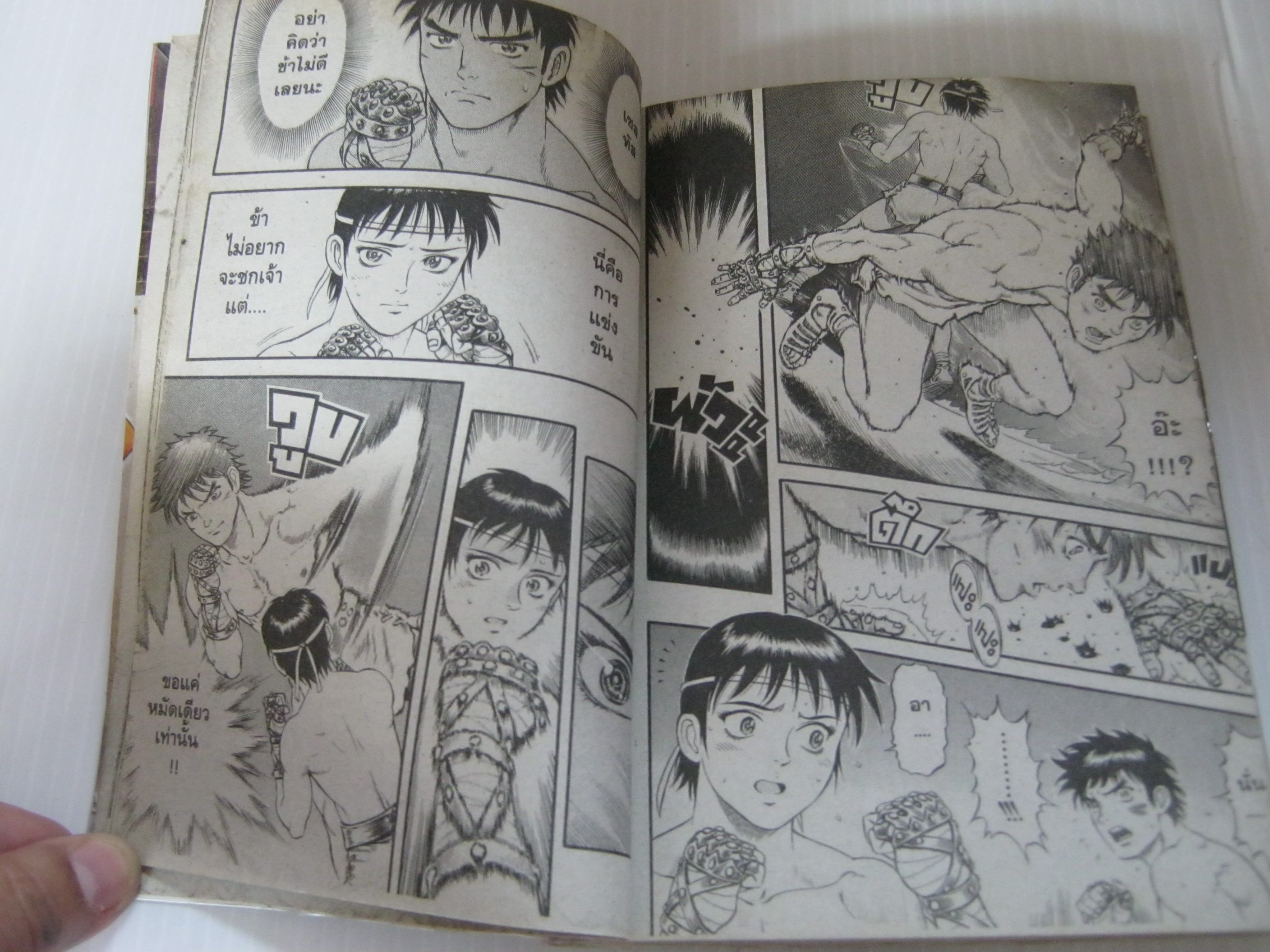 จอมหมัดสนับเหล็กเซสทัส ครบชุด 15 เล่มจบ ชิซึยะ วาซาไร เขียน