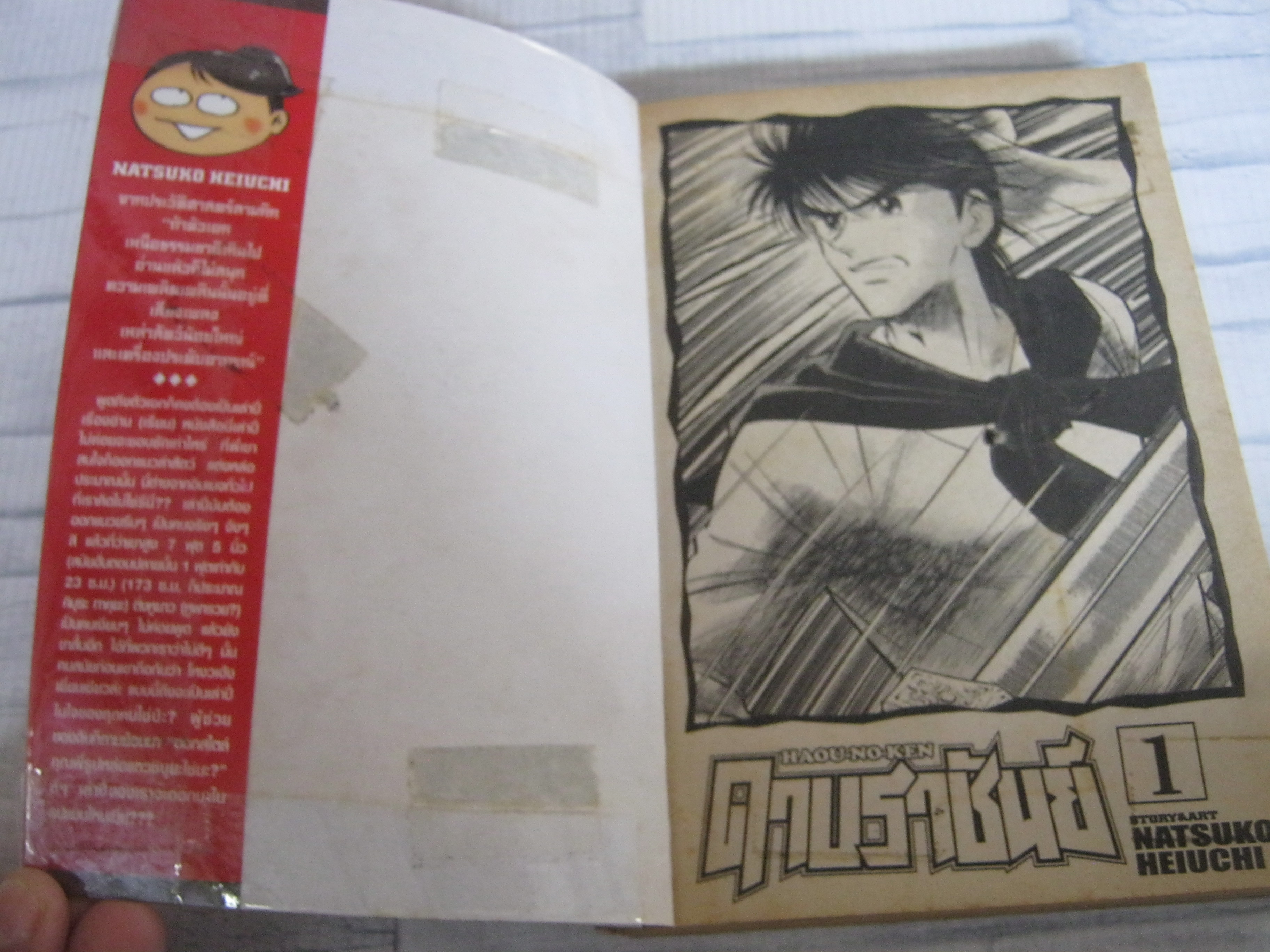 ดาบราชันย์ ครบชุด 4 เล่มจบ Natsuko Heiuchi เขียน ( สภาพเช่าห่อปกพลาสติก )