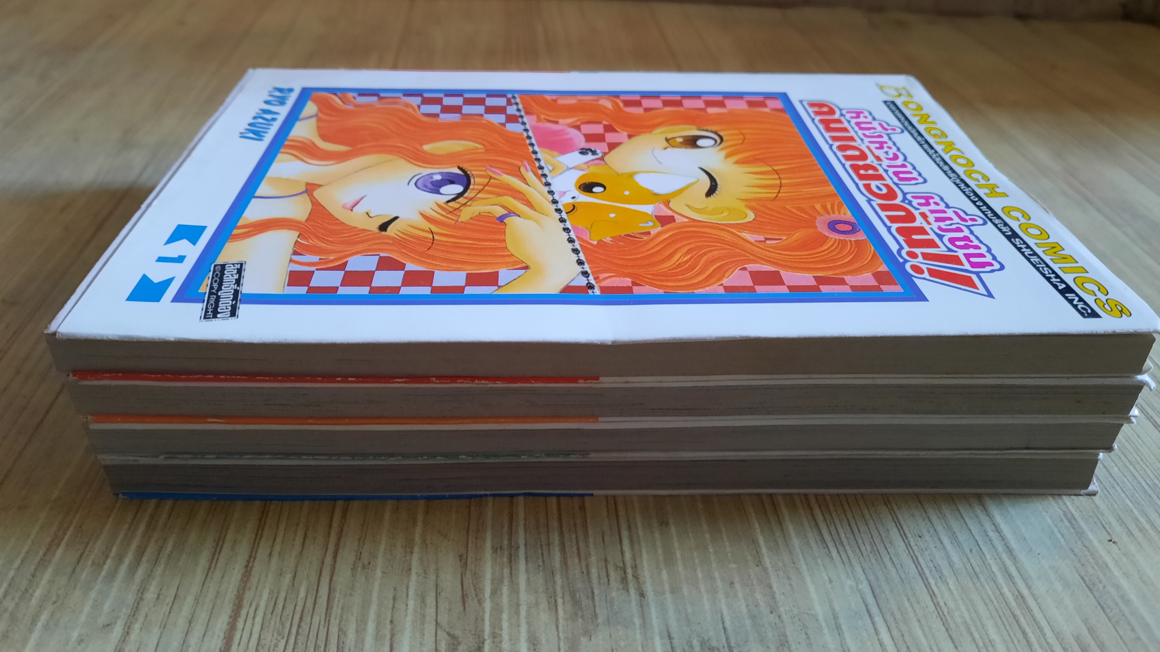 หนึ่งหวาน หนึ่งซนคนเดียวกัน ครบชุด 4 เล่มจบ