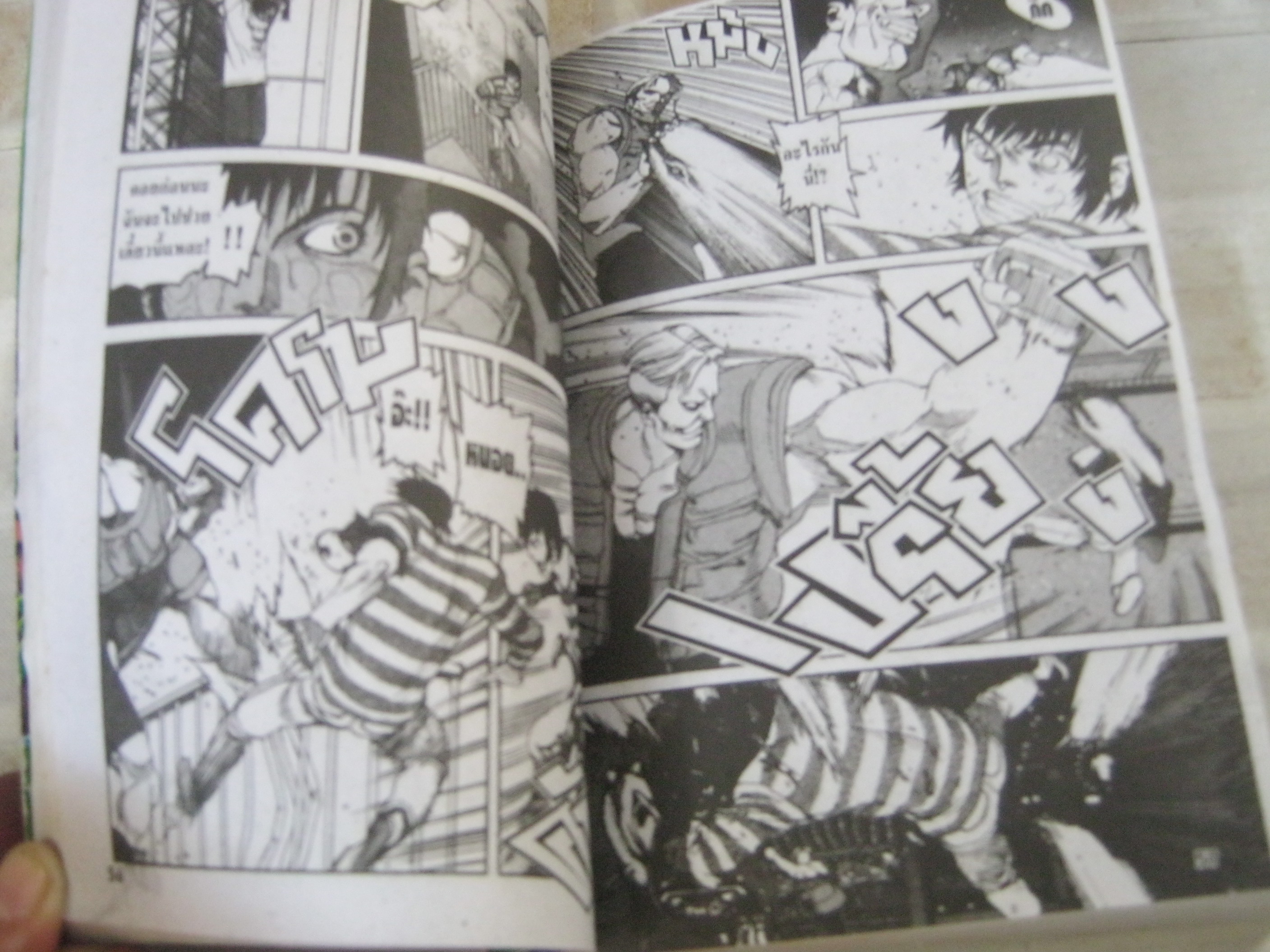 สิงหฺจอมลุย เล่ม 1 ( 3 เล่มจบ )