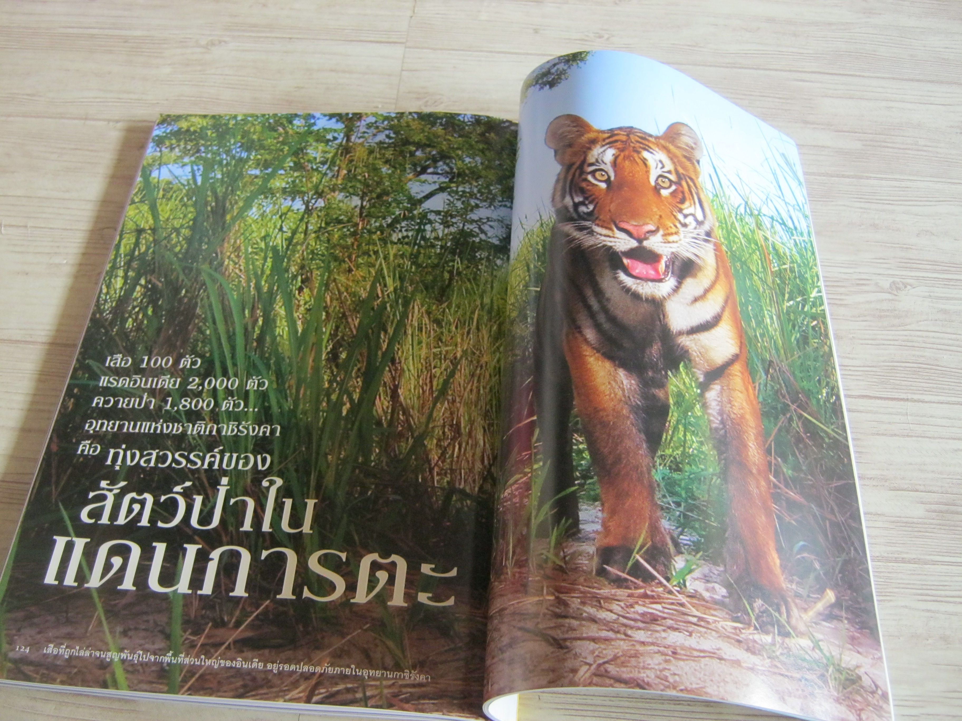 NATIONAL GEOGRAPHIC ฉบับภาษาไทย สิงหาคม 2553 บุโรพุทโธ พุทธสถานกลางแดนมุสลิม