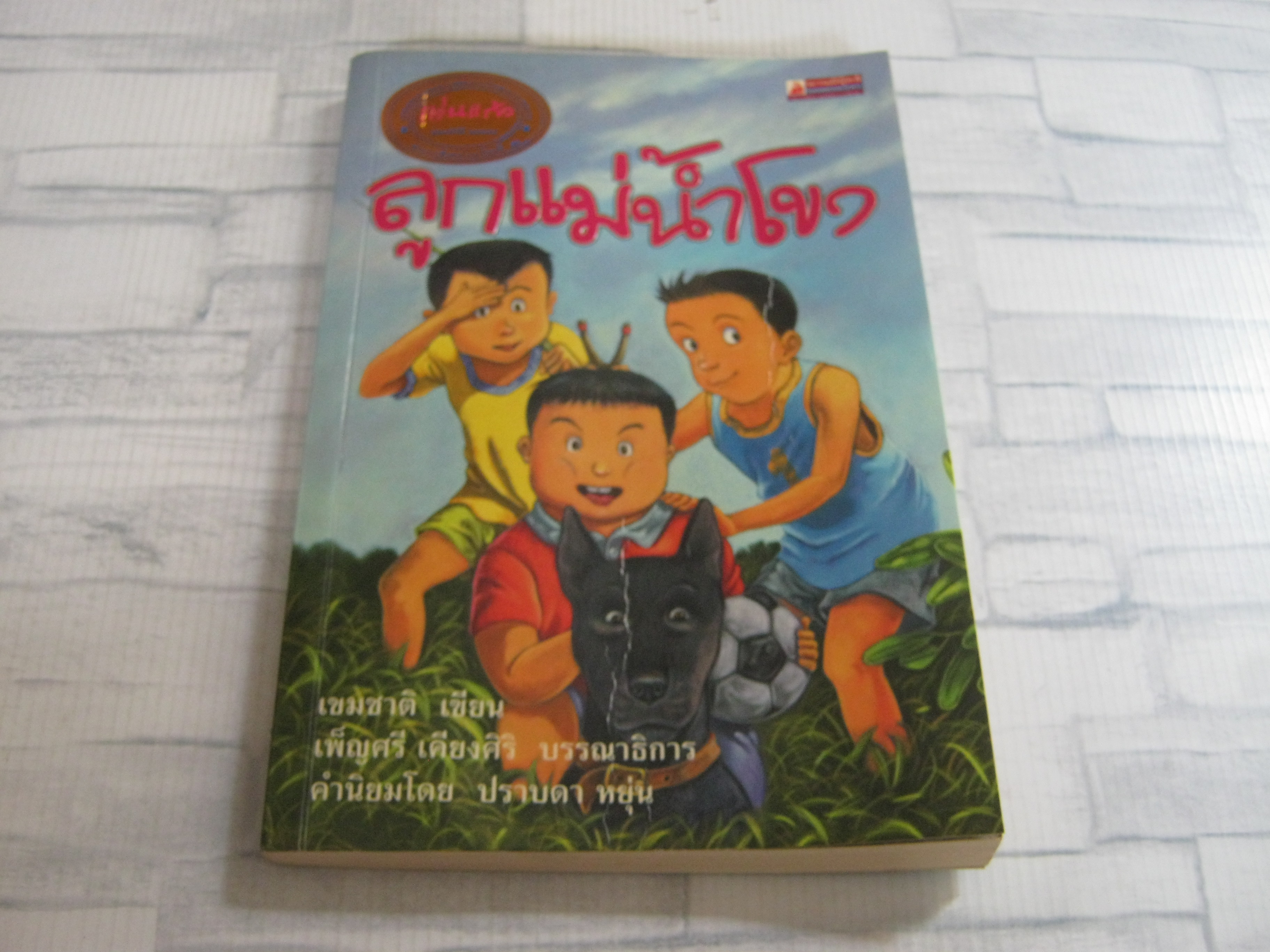ลูกแม่น้ำโขง เขมชาติ เขียน***สินค้าหมด***