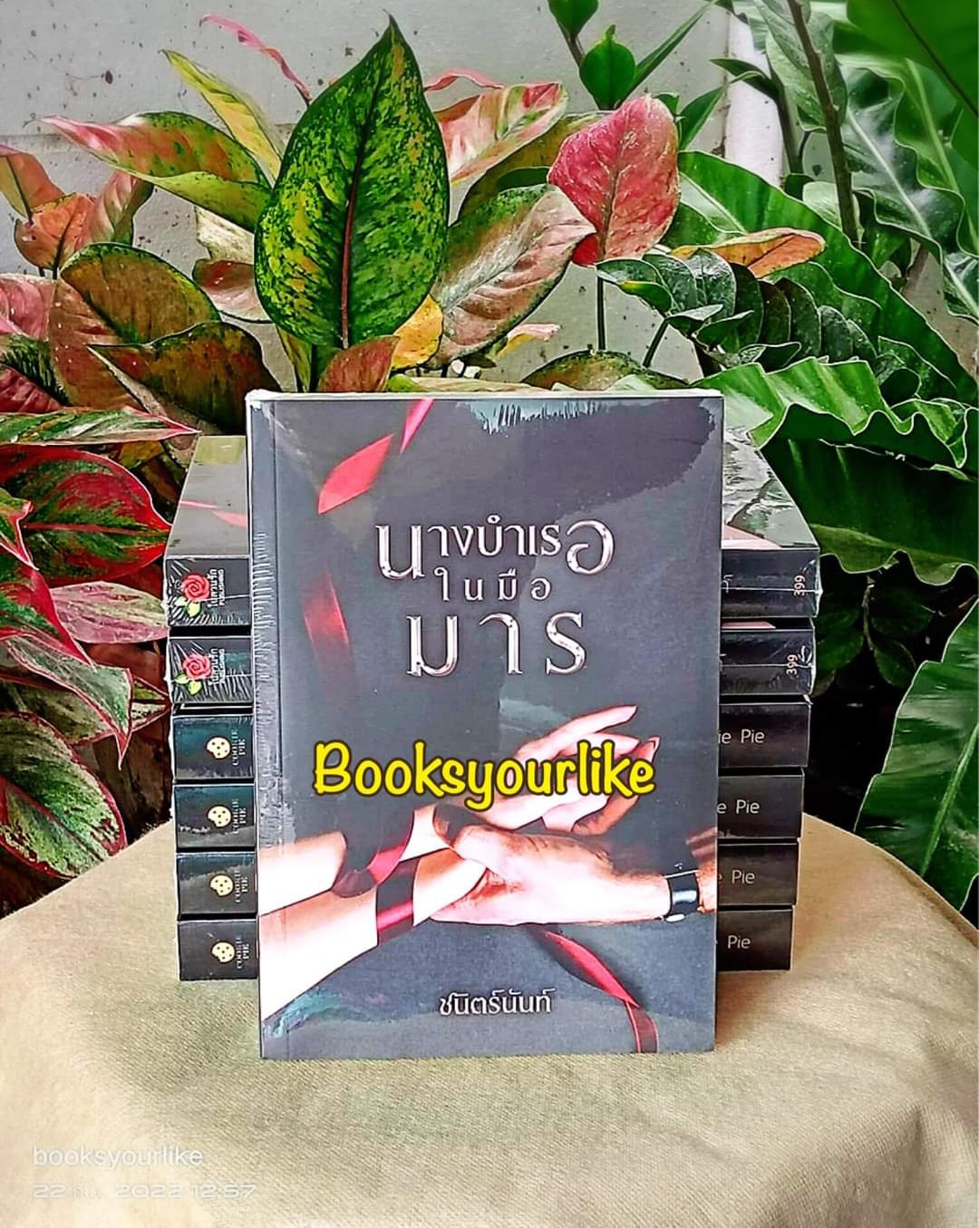 นางบำเรอในมือมาร ฉบับทำมือ,ผู้แต่ง,ชนิตร์นันท์,,นิยายรักทำมือ แนะนำค่ะ