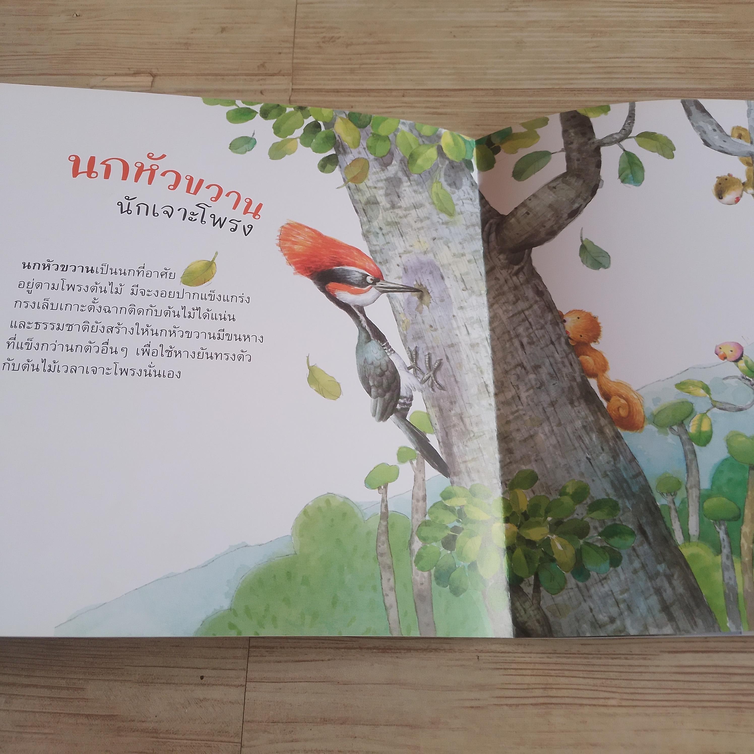 หนังสือชุดวิทยาศาสตร์รุ่นเยาว์ แปลกแต่จริง บ้านฉันมหัศจรรย์ โกศล ทองด้วงและคณะ ภาพ