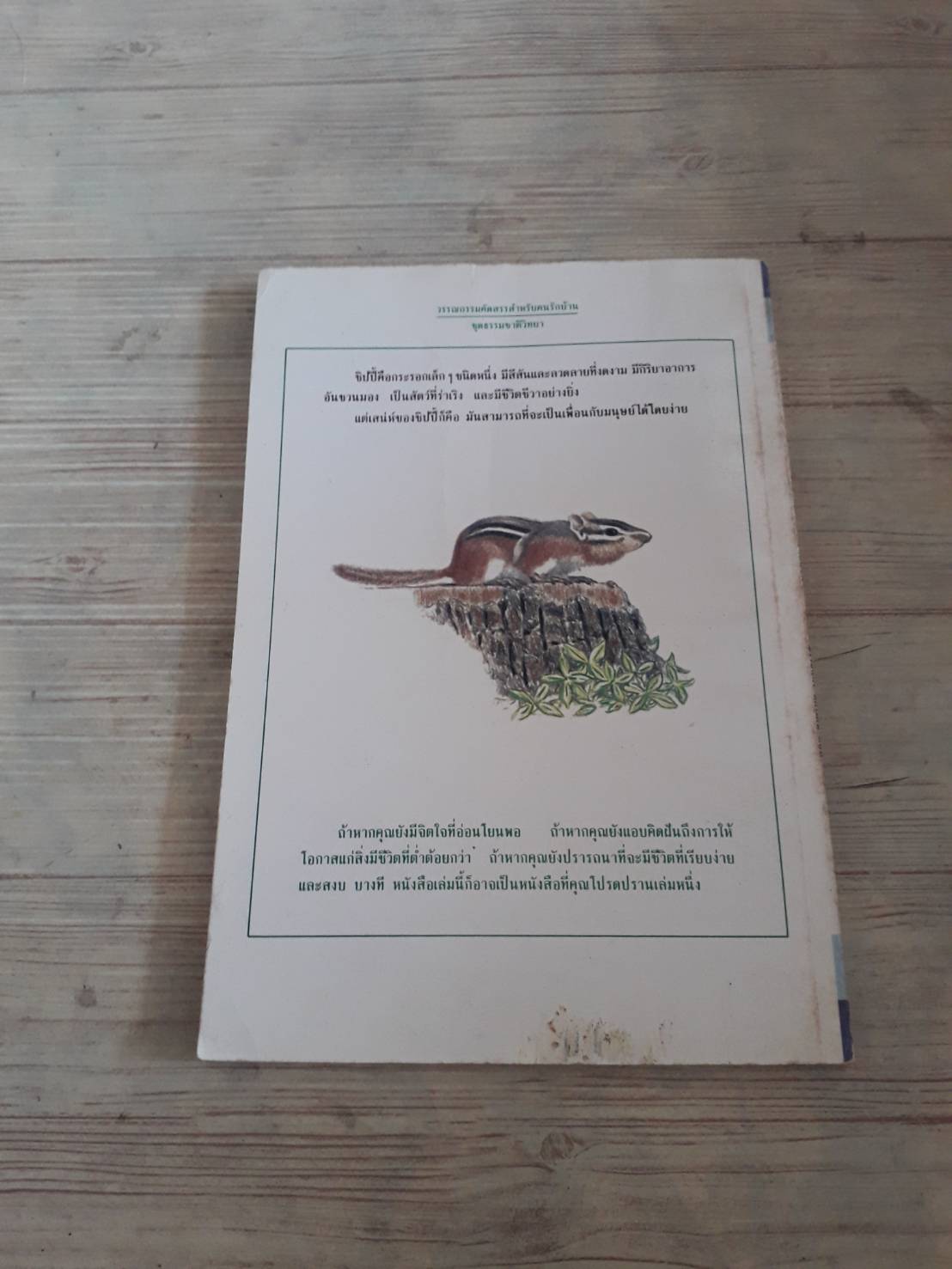 ชิปปี้ กระรอกน้อยแสนซน เอ็ดวิน ตูนิส เรื่องและภาพ แววจันทร์ แพรเมฆ แปล***สินค้าหมด***